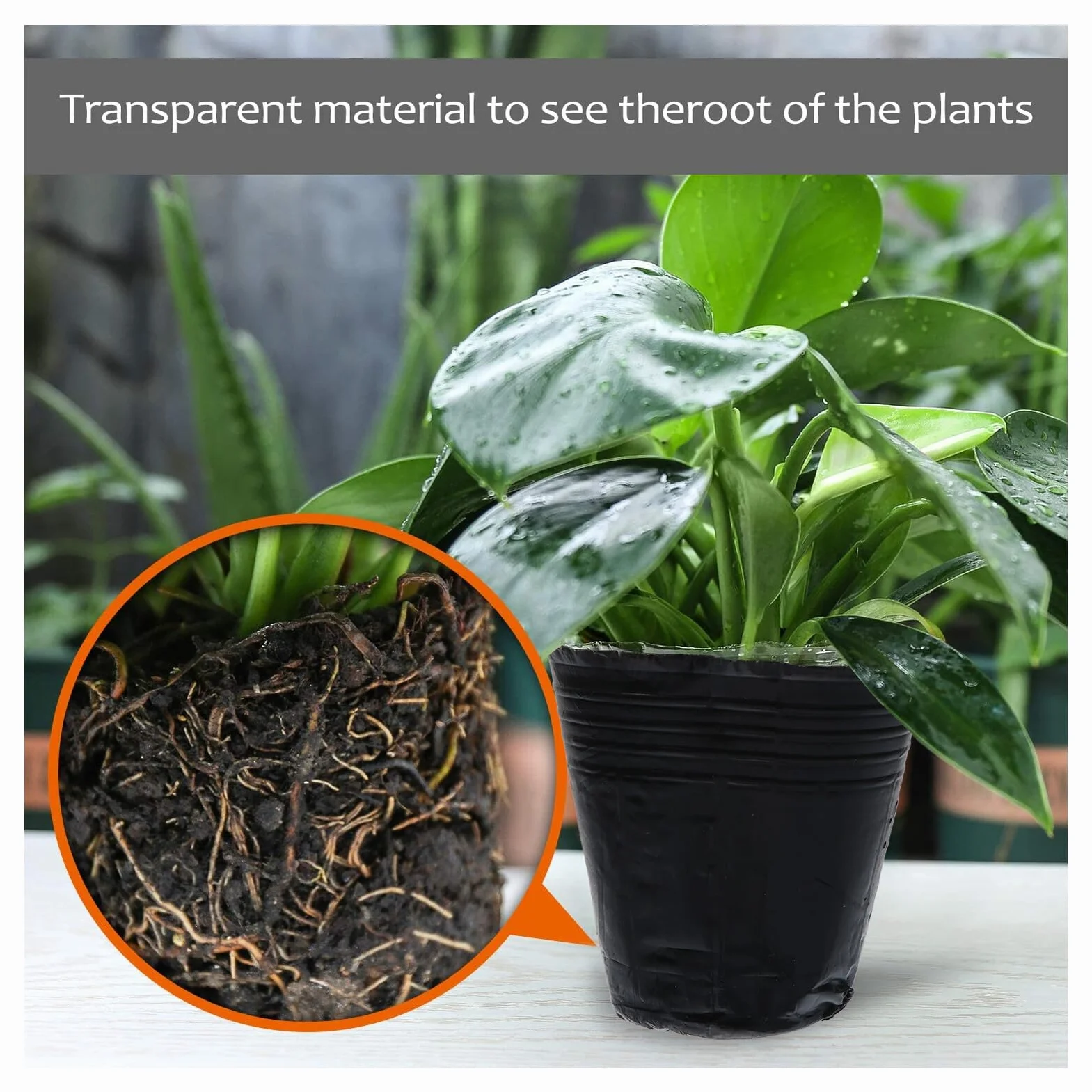 VICASKY 500 Pièces Pots de Semis Plastique avec Drainage Godets de Repiquage pour Plantes