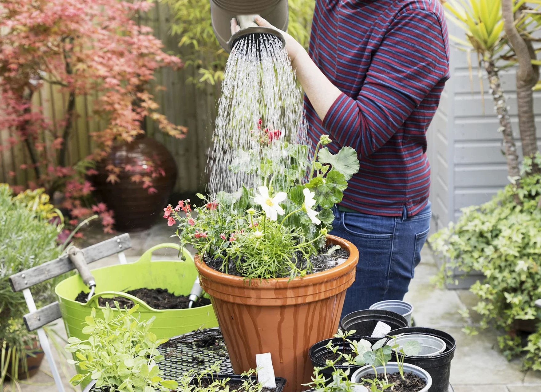 Arrosoir de 5,5 gallons pour plantes d'extérieur et d'intérieur, grand arrosoir de jardin léger et capacité de 5,5 L, arrosoir en plastique avec long bec et tête d'arrosage amovible en métal, gris