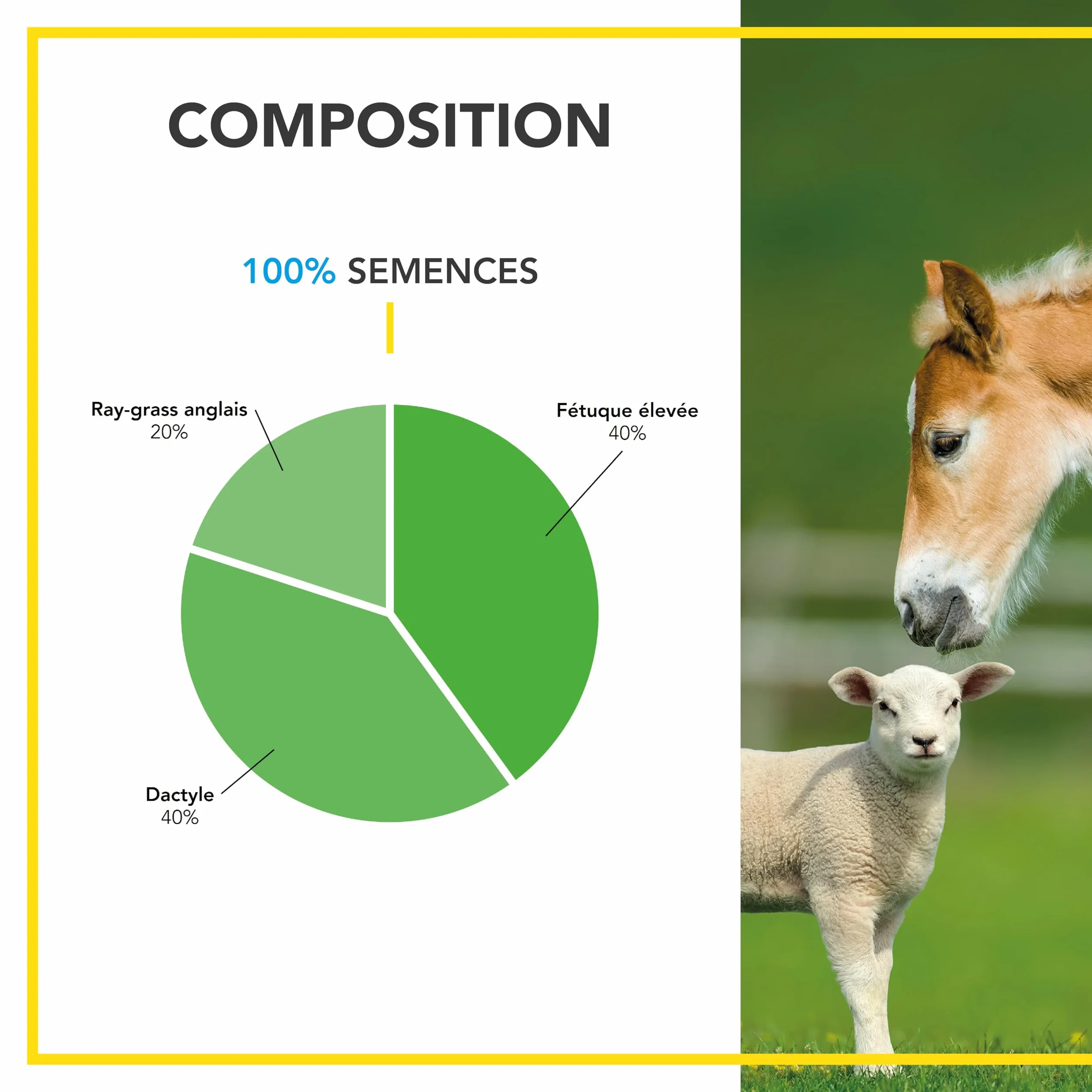 BARENBRUG Mélange Prairie Production Alimentation pour Animaux 1KG