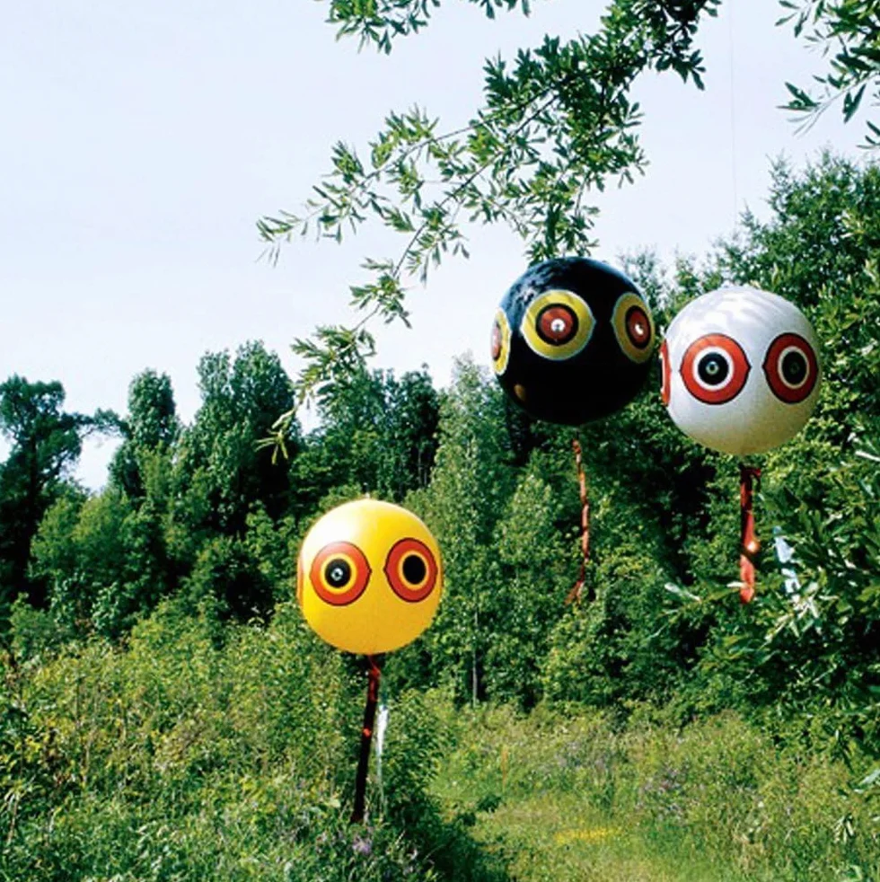 Ballon Anti-Oiseaux avec Yeux, Lot de 3, Répulsif pour Pigeons avec Corde, 3 Couleurs