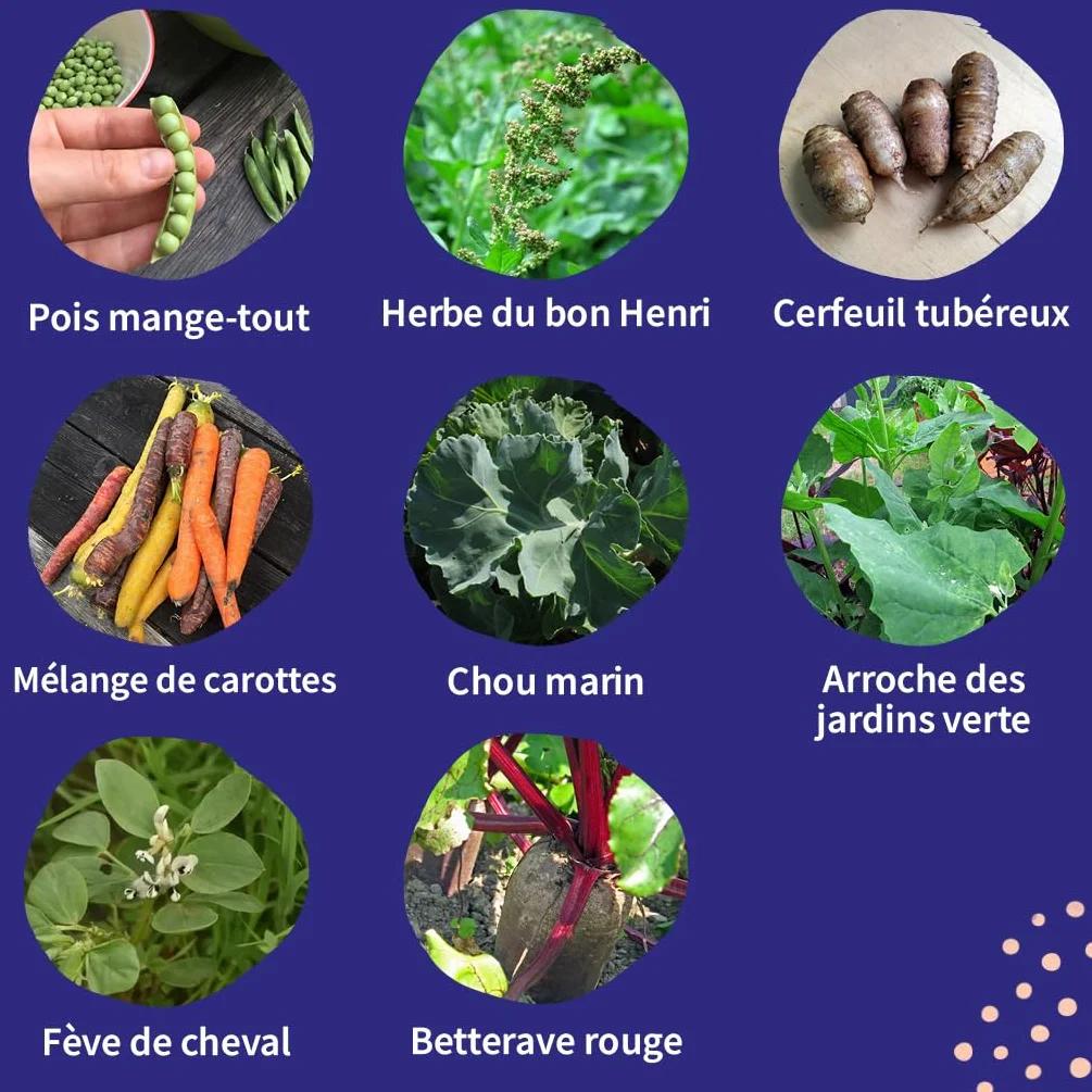 Légumes rares kit cadeau graines 8 variétés