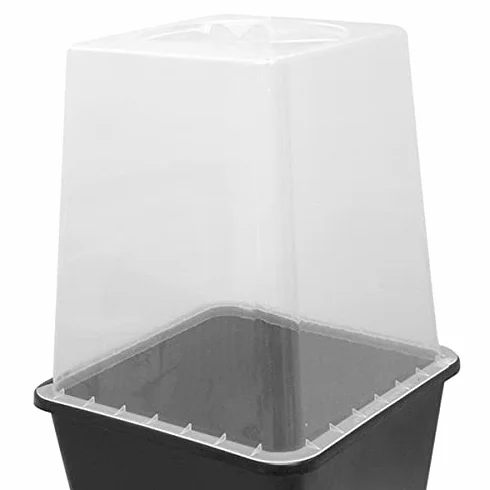 Couvercle Serre pour Pot carré 11L CIS