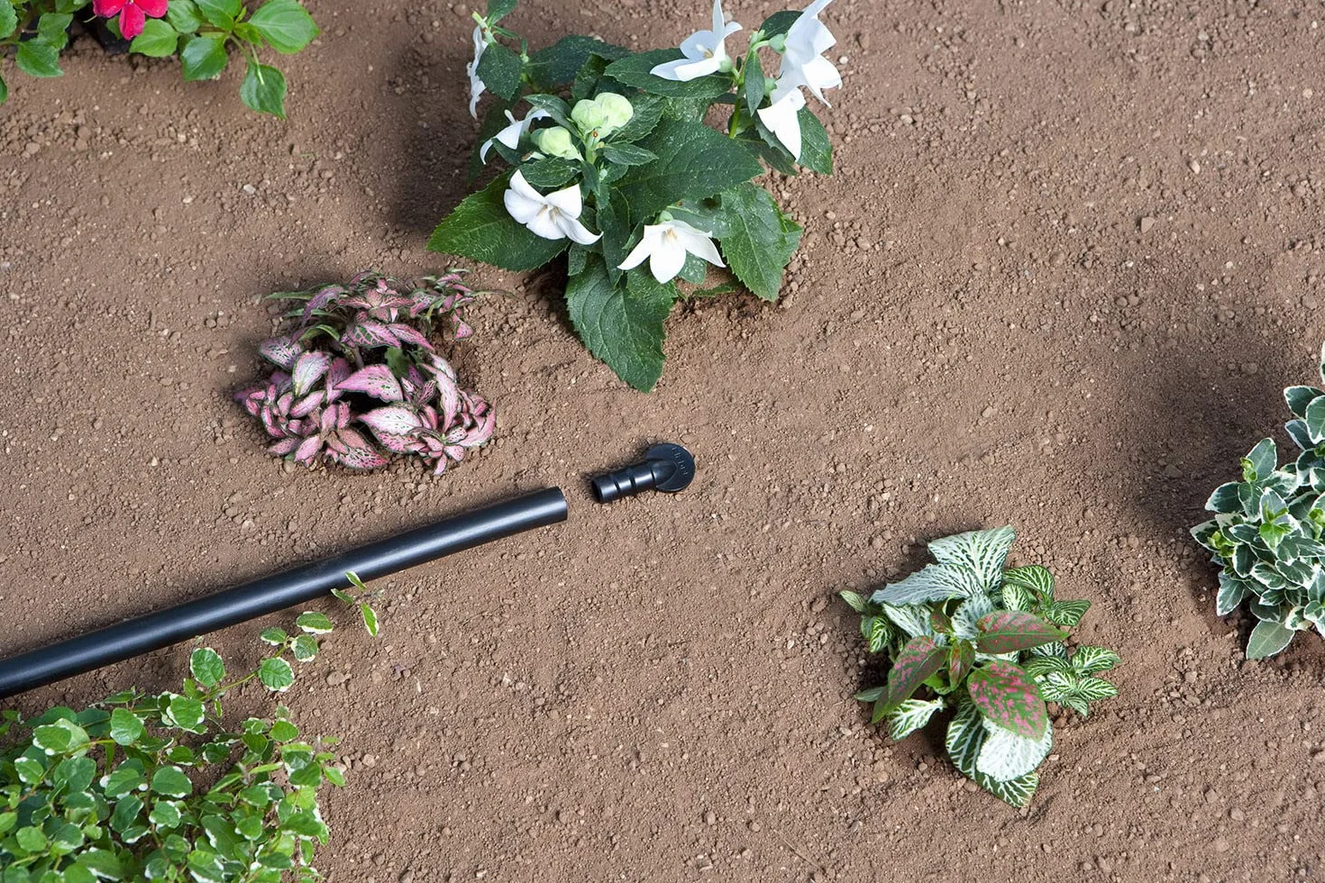 Claber Kit Terrasse pour installation d’irrigation goutte à goutte jusqu’à 50 plantes