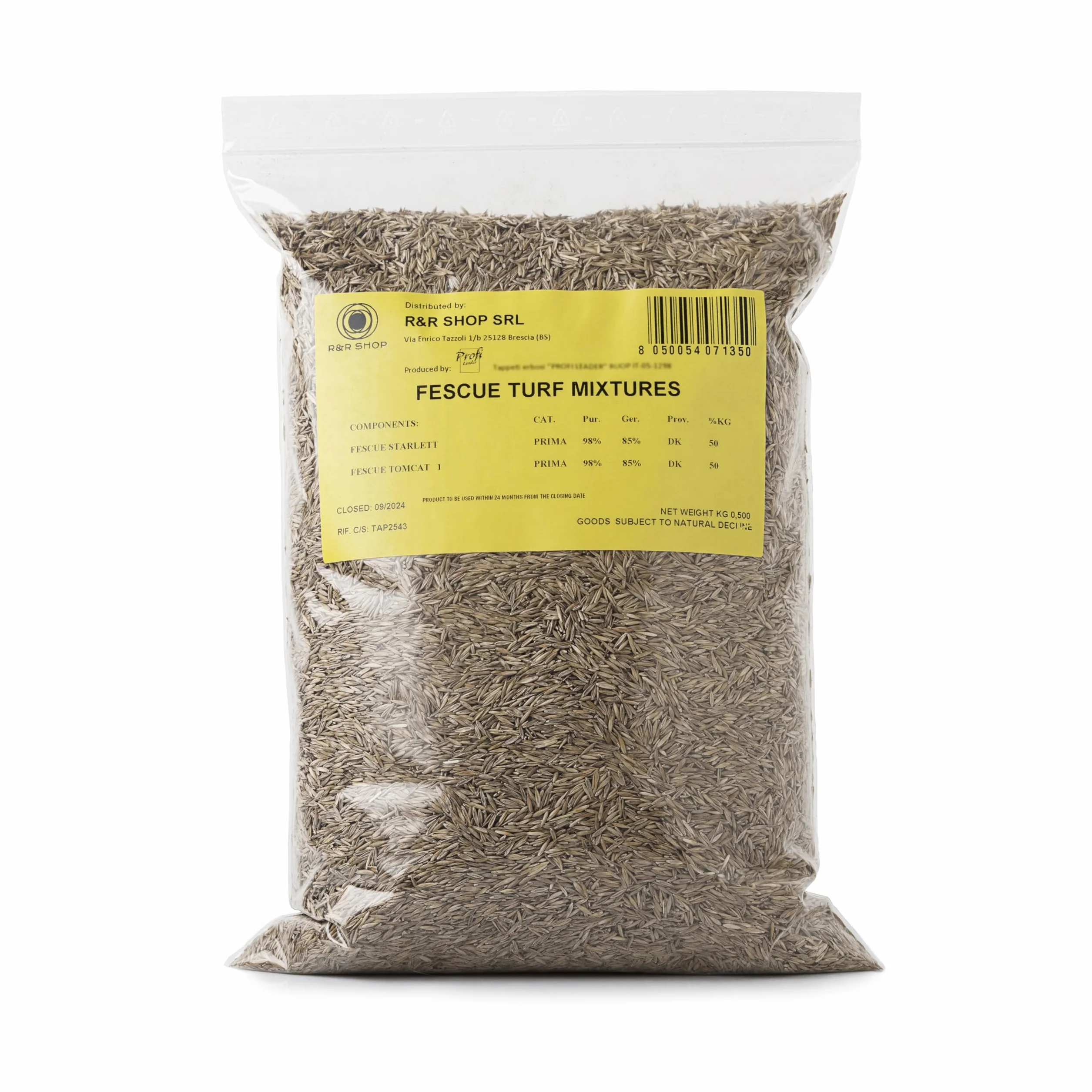 R&R SHOP Semences Pelouse Festuca Arundinacea Résistantes Longue Durée 500g