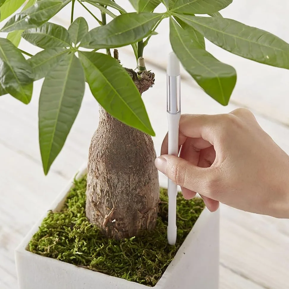 Aquameter Soil Aqua Meter Est un Testeur D'Humidité Du Sol pour Plantes D'Intérieur en Pot.