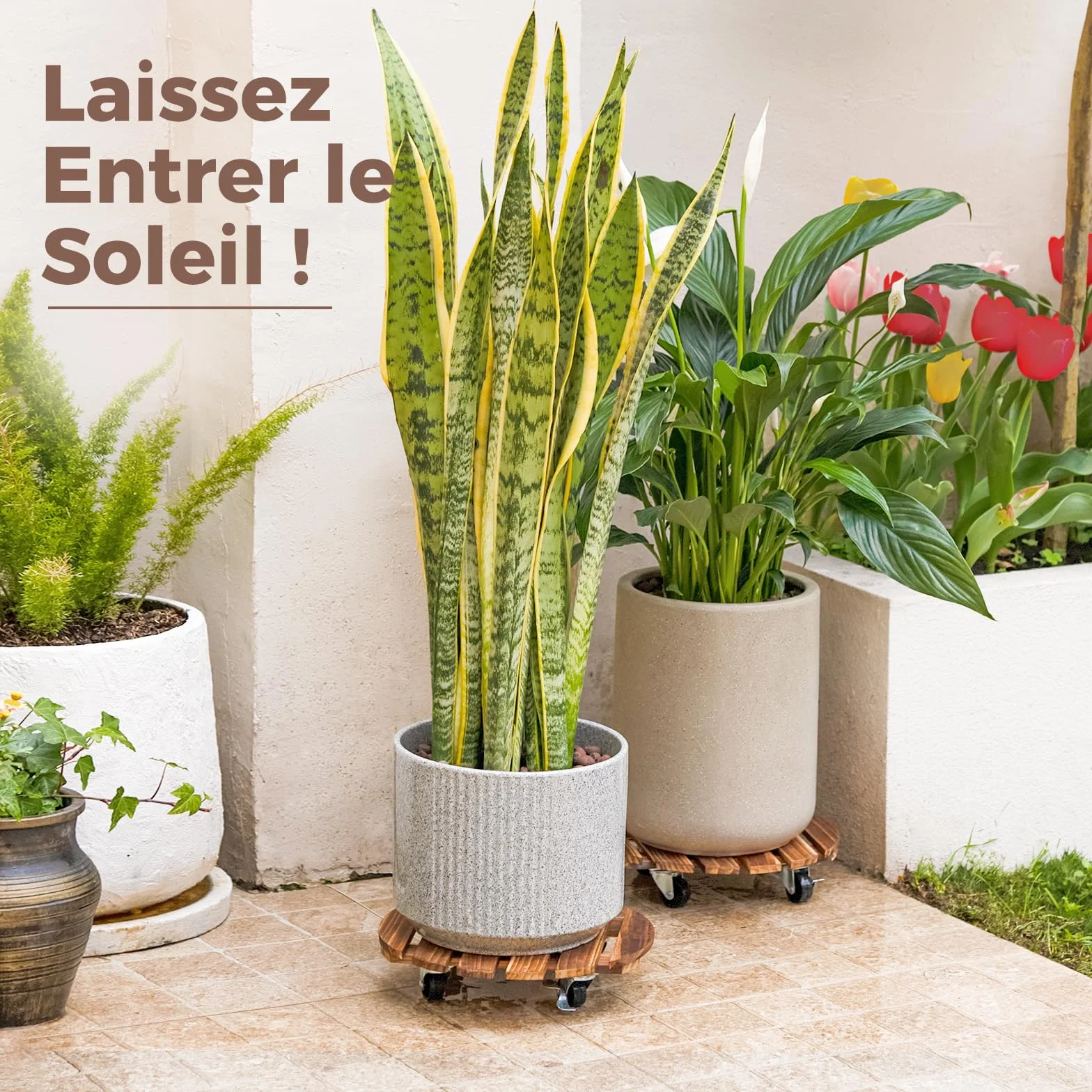 Bamworld Porte Plante à Roulettes, Lot de 2 Plateaux Roulants 30,5 cm, Capacité 100 KG, Marron Foncé