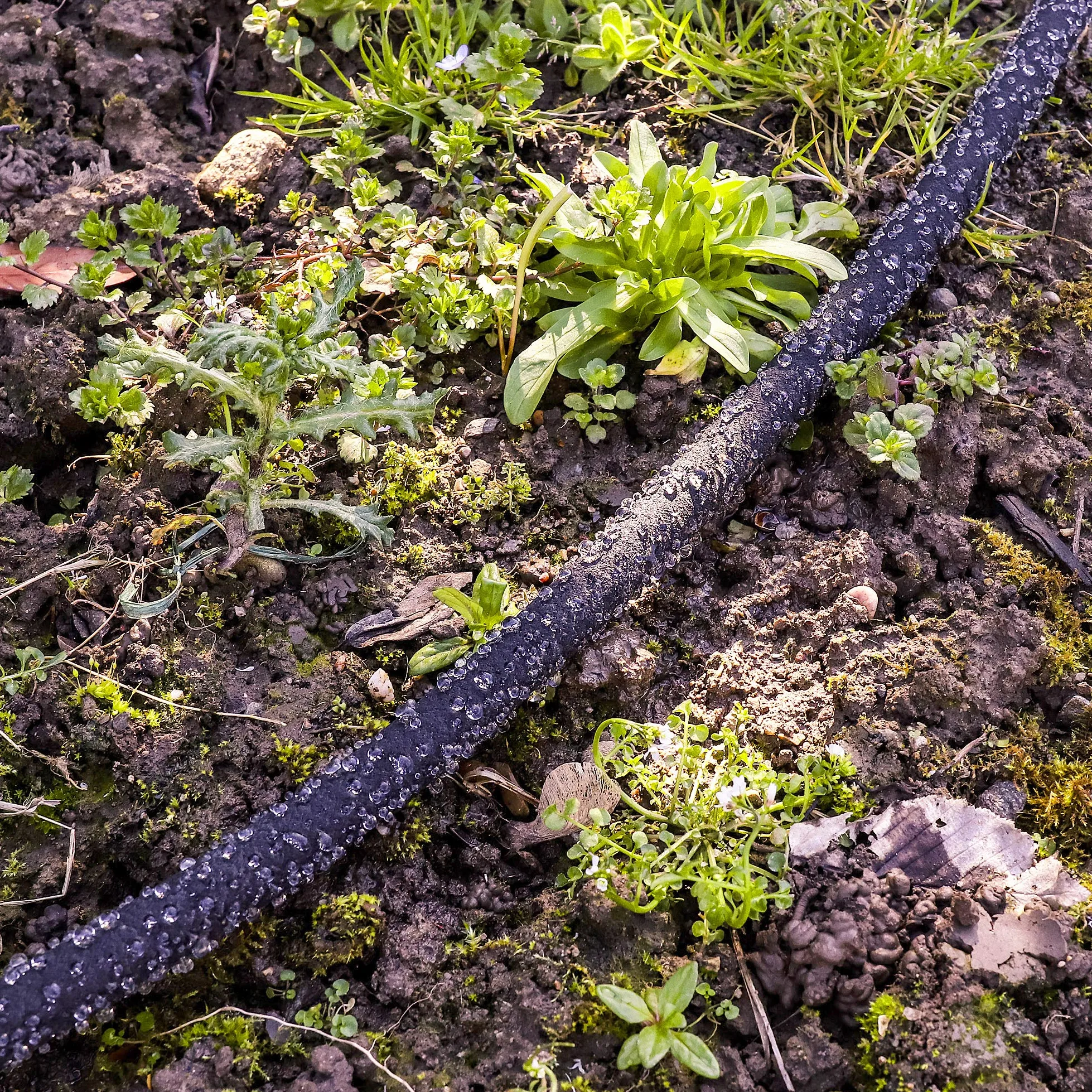 GRÜNTEK Tuyau Goutte à Goutte 30M. Tuyau Poreux Arrosage | Tuyau microporeux souterrain 30 M - Débit 5 à 10 L/min - Kit 3 raccords - Anti-algues - Résistant UV - Pression 3-6 bar