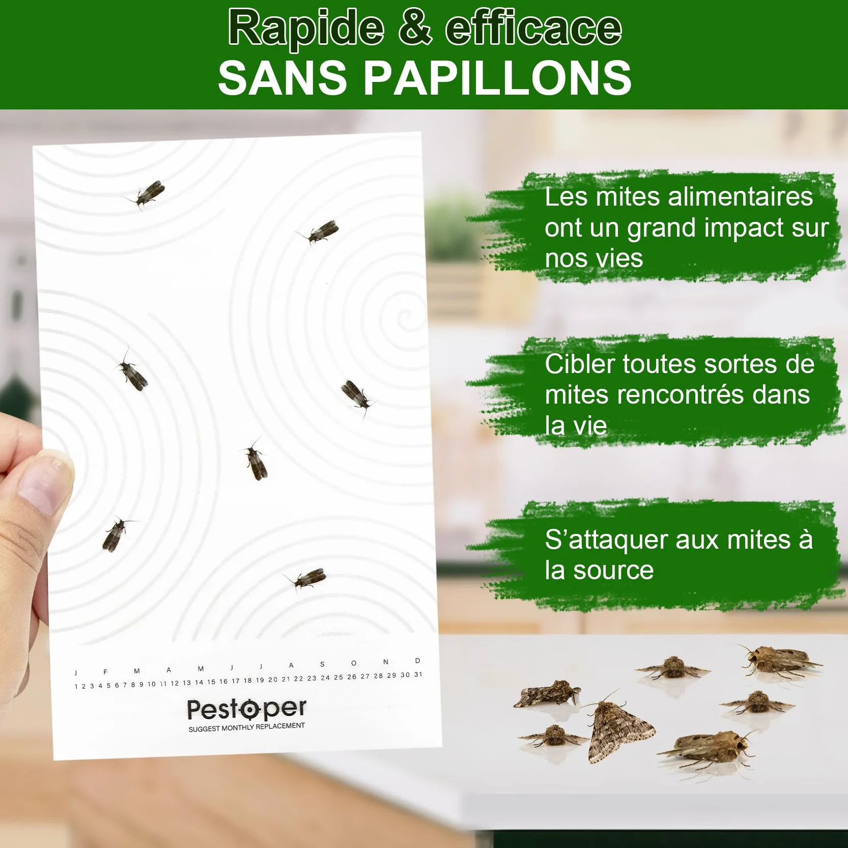 Anti Mites Alimentaires 12 Pièces Piège Alimentaire avec Attrait pour Cuisine Garde-Manger