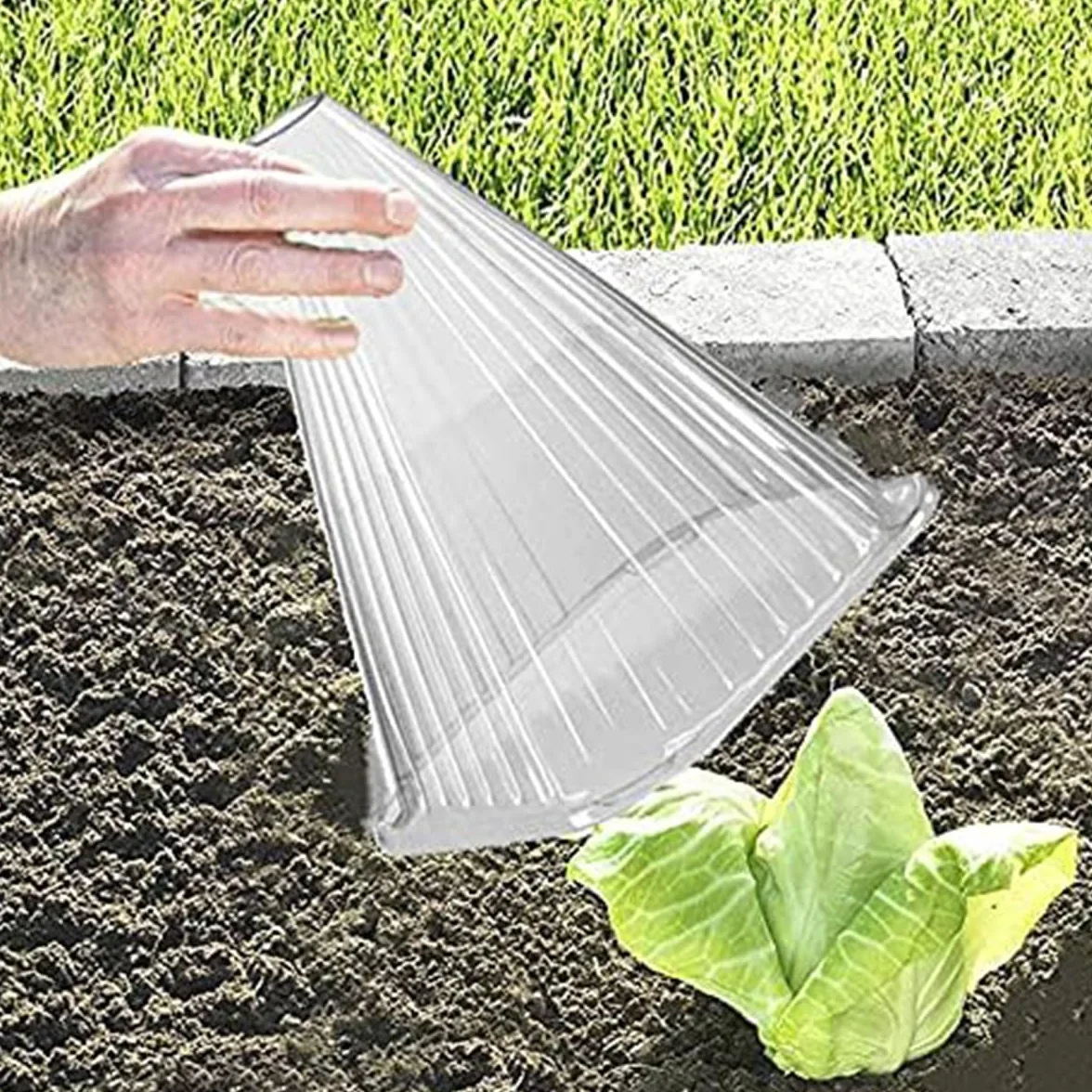 Cloches de Protection pour Plantes en PVC Résistant 20PCS