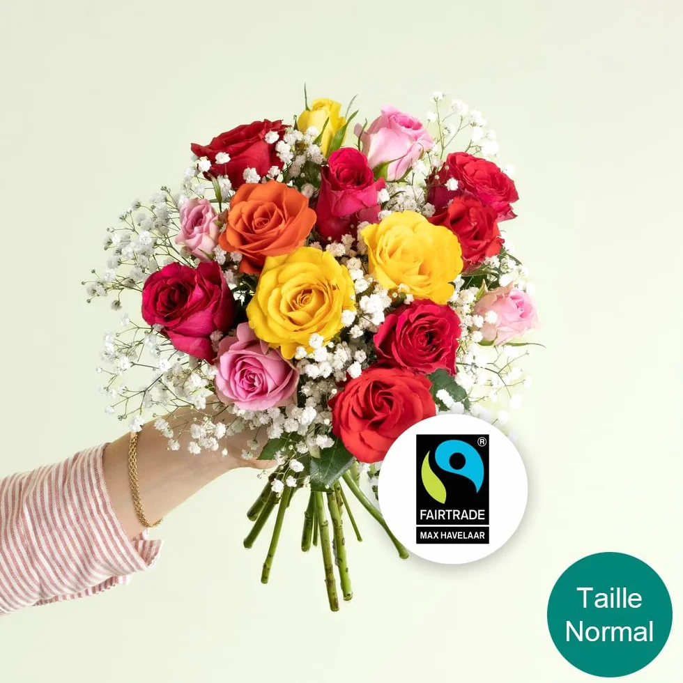 Bouquet de Petites Roses Multicolores, Roses du Kenya, env. 15 Tiges