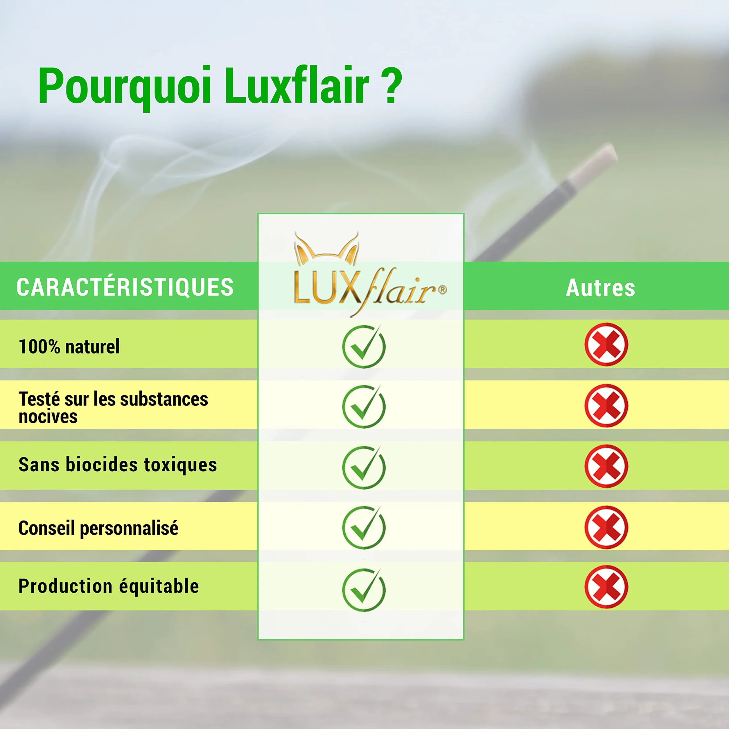 Luxflair XXL Bâtonnets d'encens géants Citronnelle Set de 3 20 pièces pour Jardin BBQ Camping