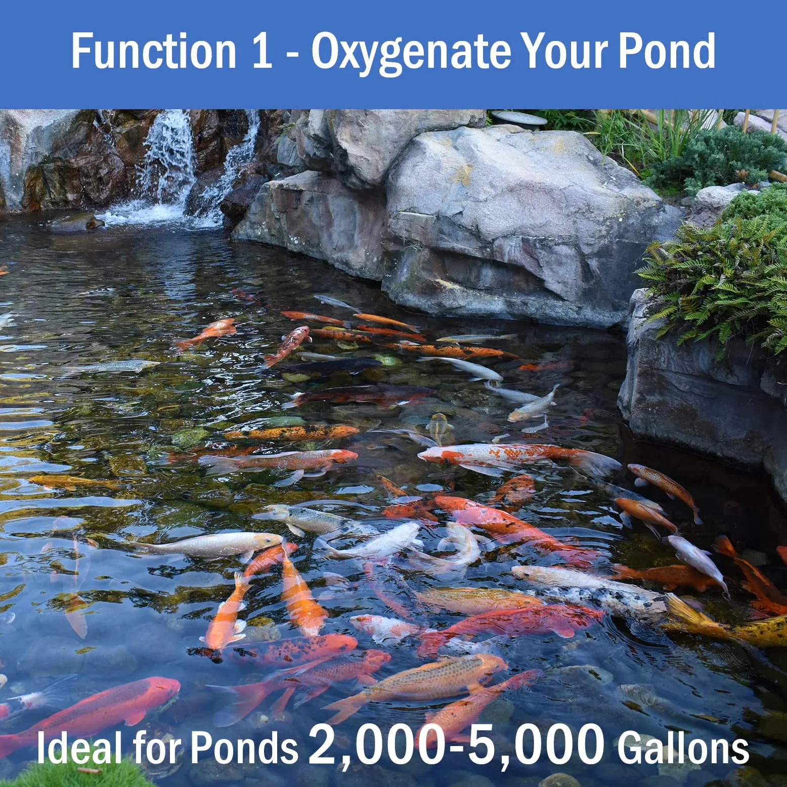 AquaMiracle Kit d'aération de bassin – Aérateur de bassin Koi Kit de pompe à air pour bassin jusqu'à 15 000 gallons Dégivreur d'étang Système d'aération tout-en-un avec contrôle du débit d'air en