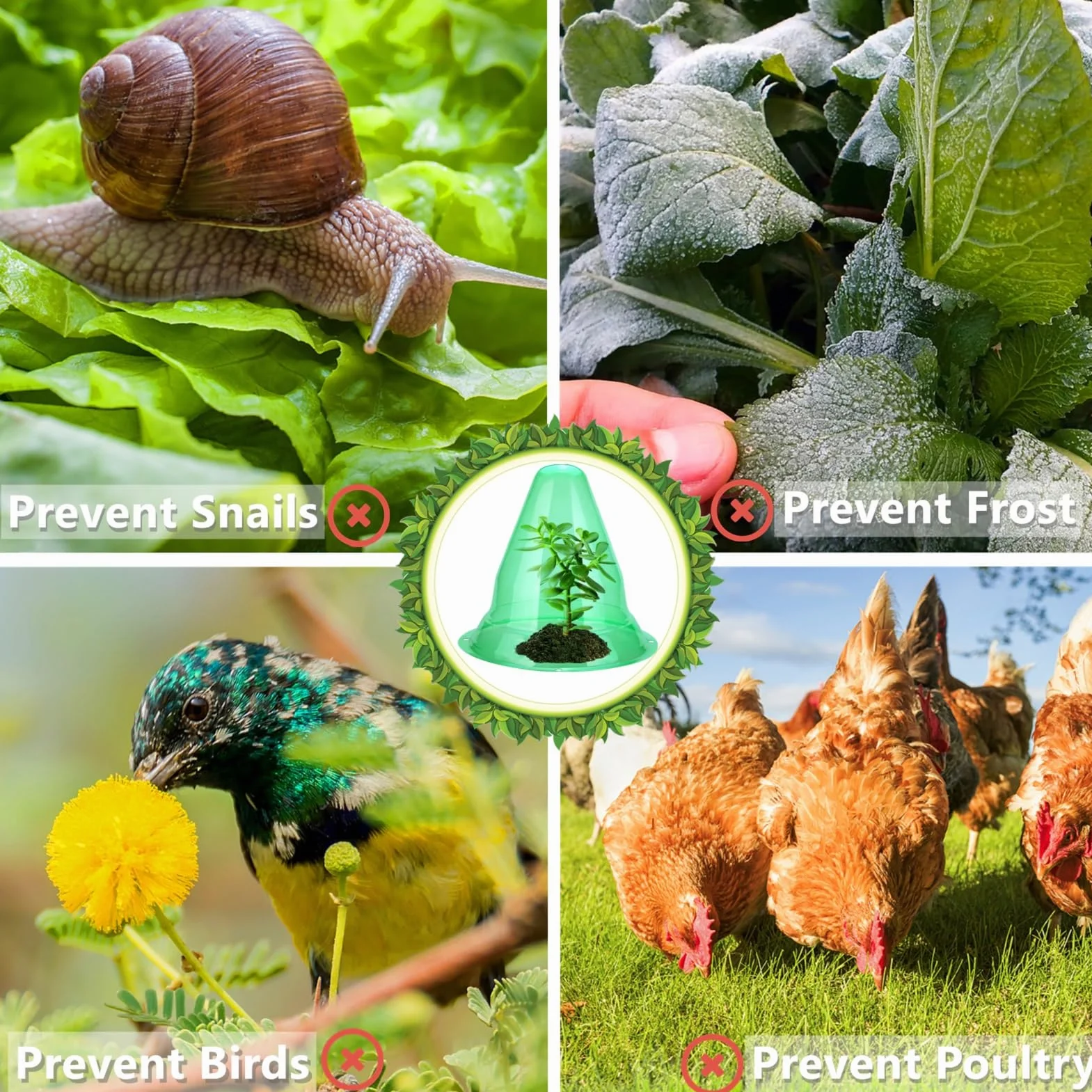 20 pièces grandes cloches pour plantes réutilisables, protecteurs de jardin contre les animaux