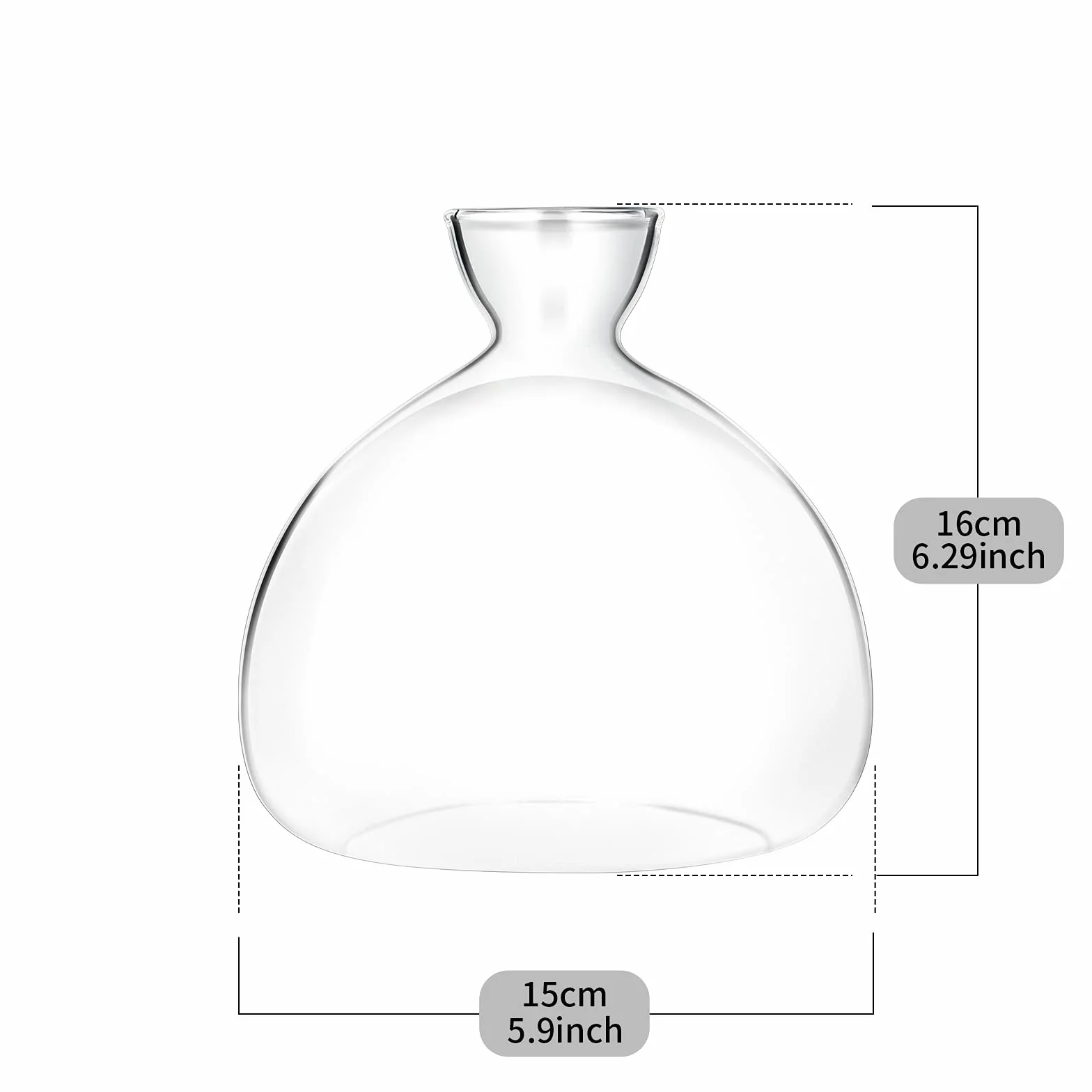 Kit de Culture d'Avocat Vases en Verre - Démarrage de Graines d'Avocat - Cadeaux de Jardinage
