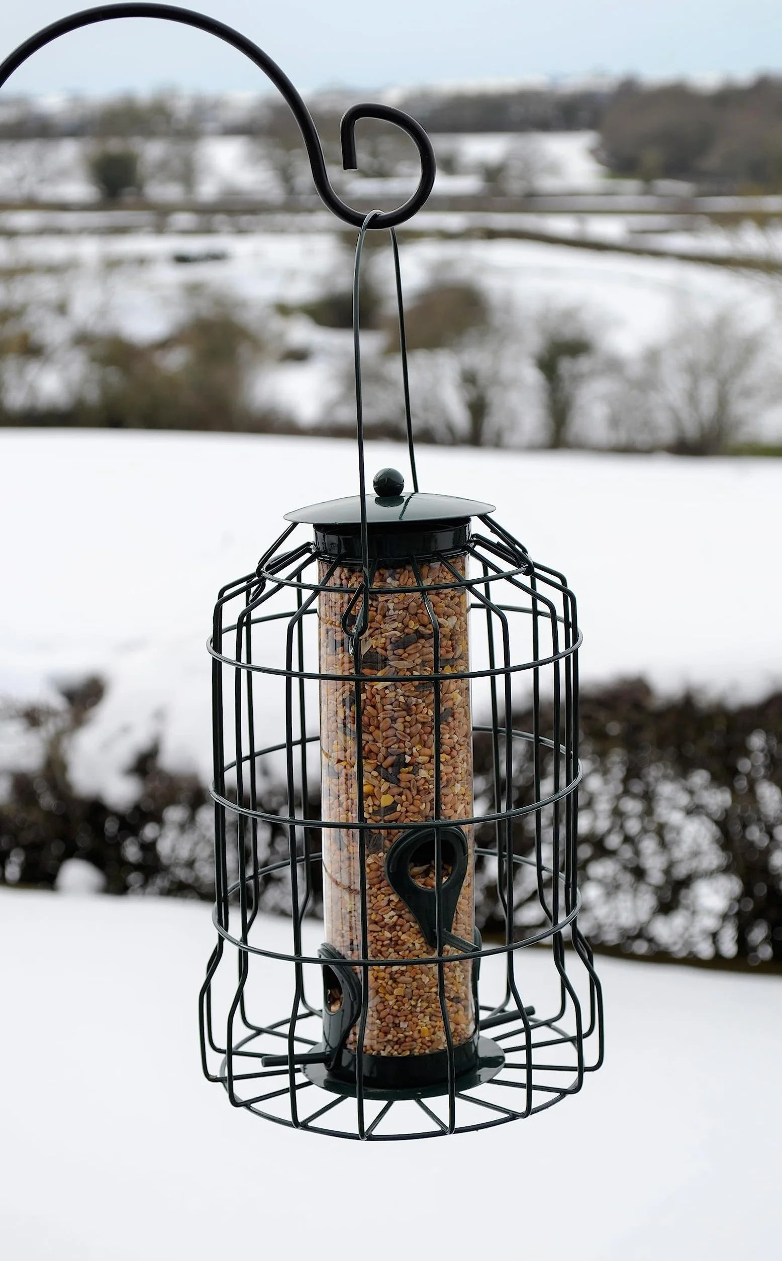 Supa Mangeoire à graines en Cage pour Oiseaux Sauvages dissuade Écureuils et Grands Oiseaux