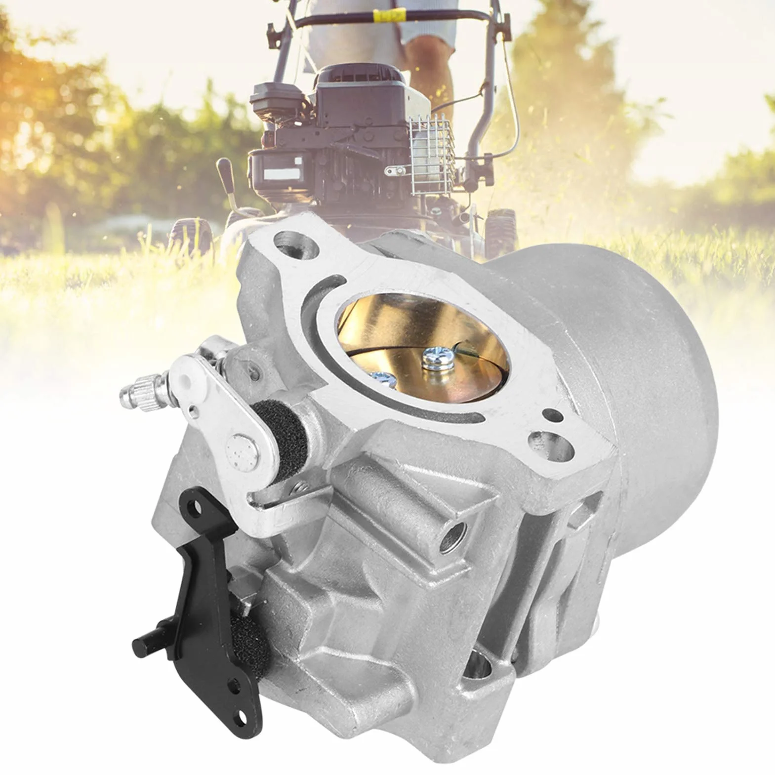 Carburateur Moteur 12 HP 12,5 HP pour 799728 498027 16x10x7