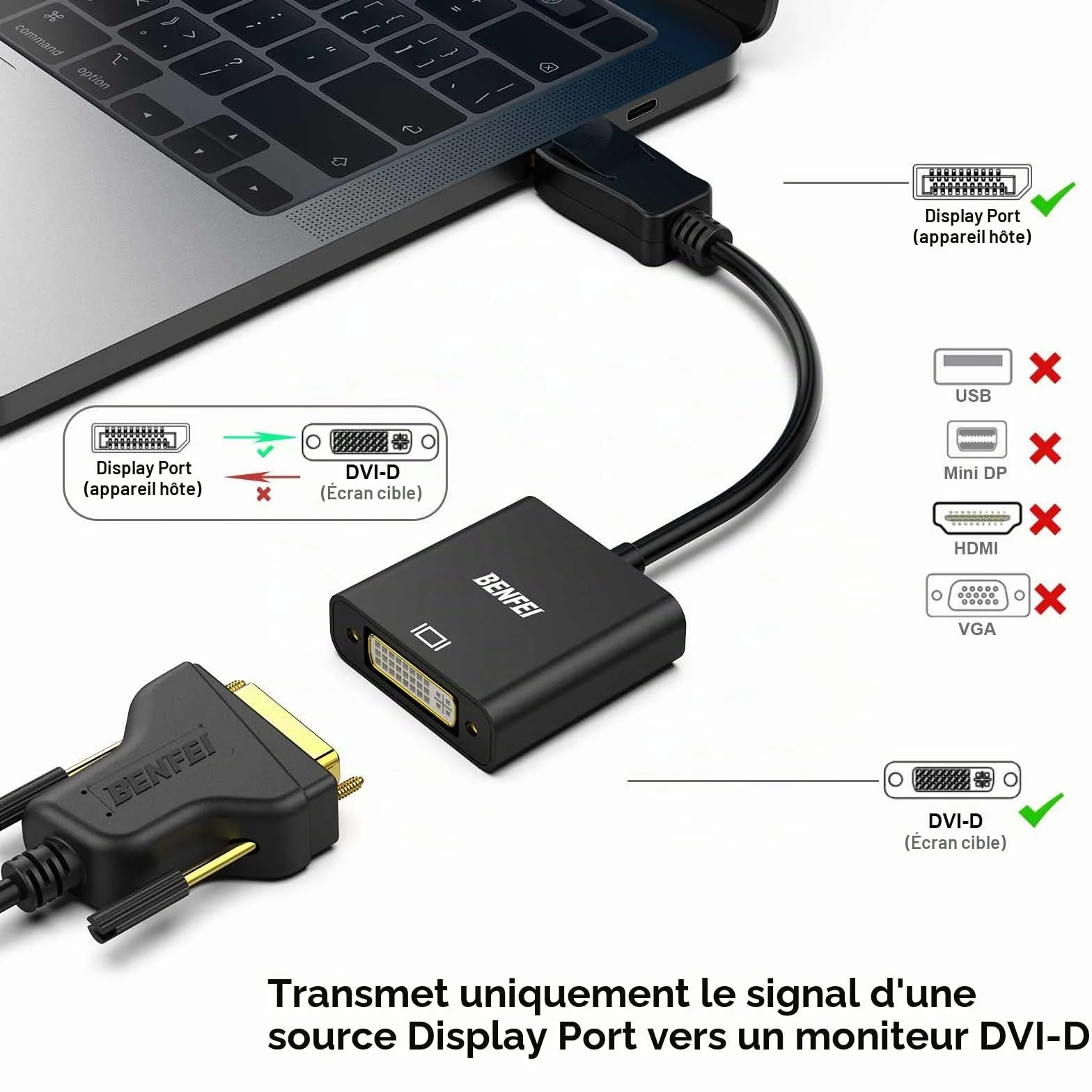 BENFEI Adaptateur DisplayPort vers DVI-D mâle vers Femelle Noir Compatible Lenovo Dell HP
