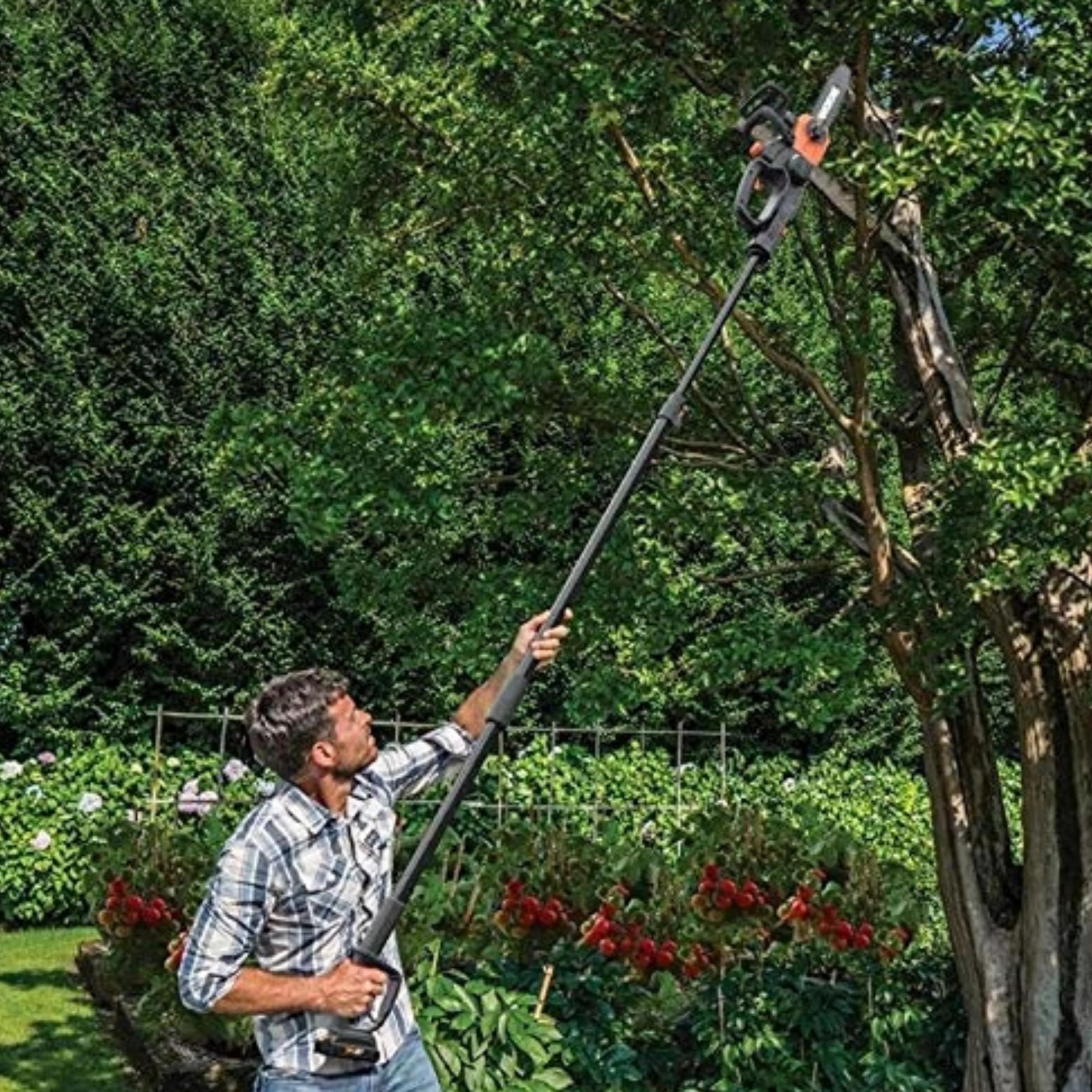 WORX Perche télescopique WA0166 pour tronçonneuse WG322E