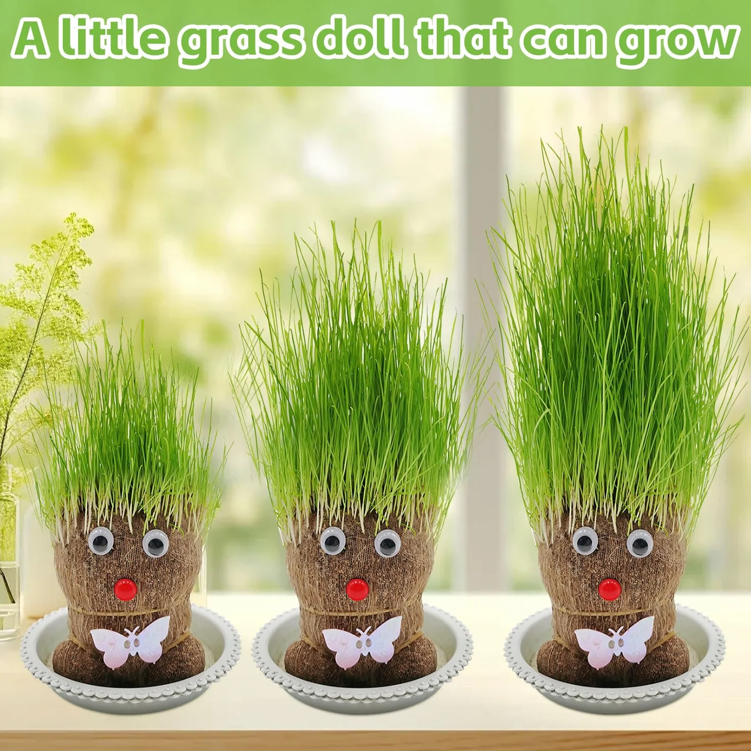 Mini Bonsaï Tête d'Herbe Grass Head avec Plateau - 2 Plantes (M3)