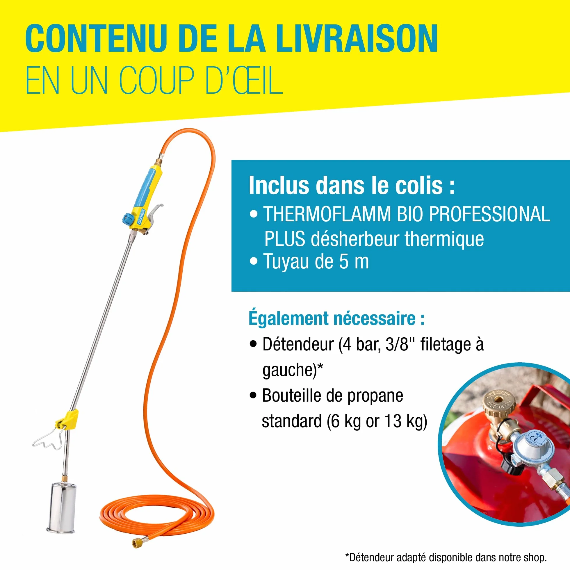 Gloria Désherbeur Thermique à Gaz Thermoflamm bio Professional PLUS 1000 °C pour Grandes Surfaces