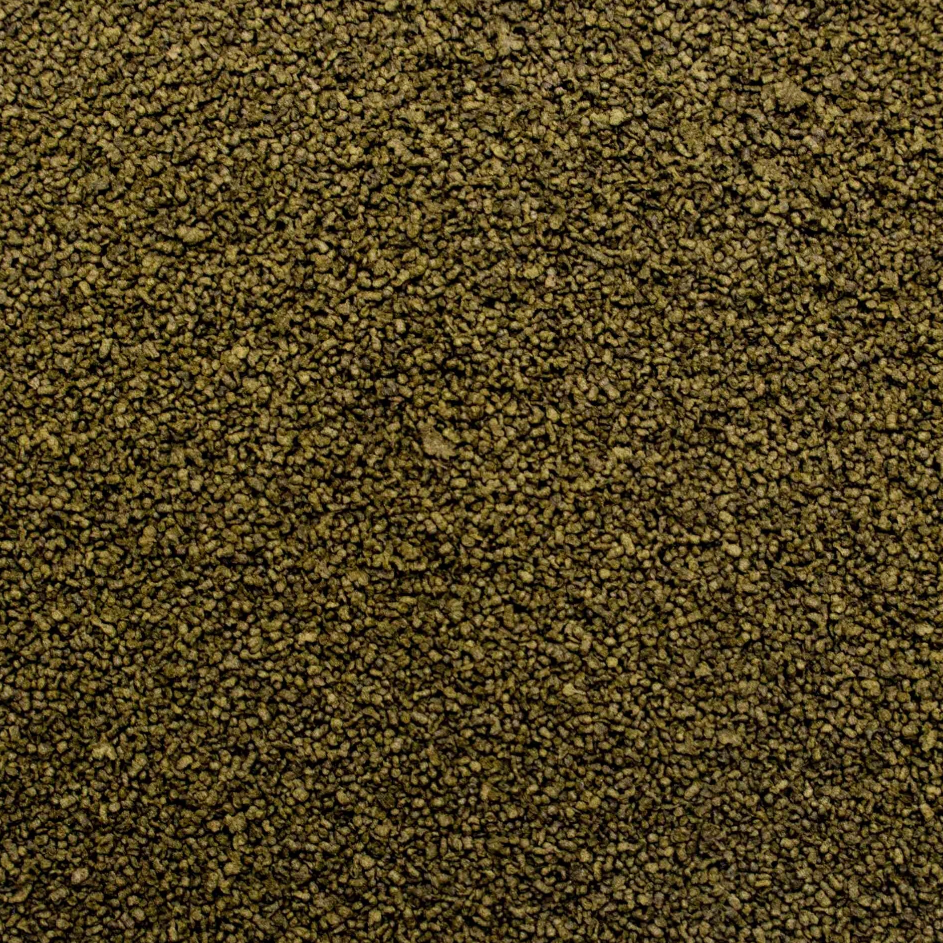 3-Algae GRANULAT 5L / 2,2kg - Nourriture aux algues pour Poissons d'eau Douce et d'eau de mer