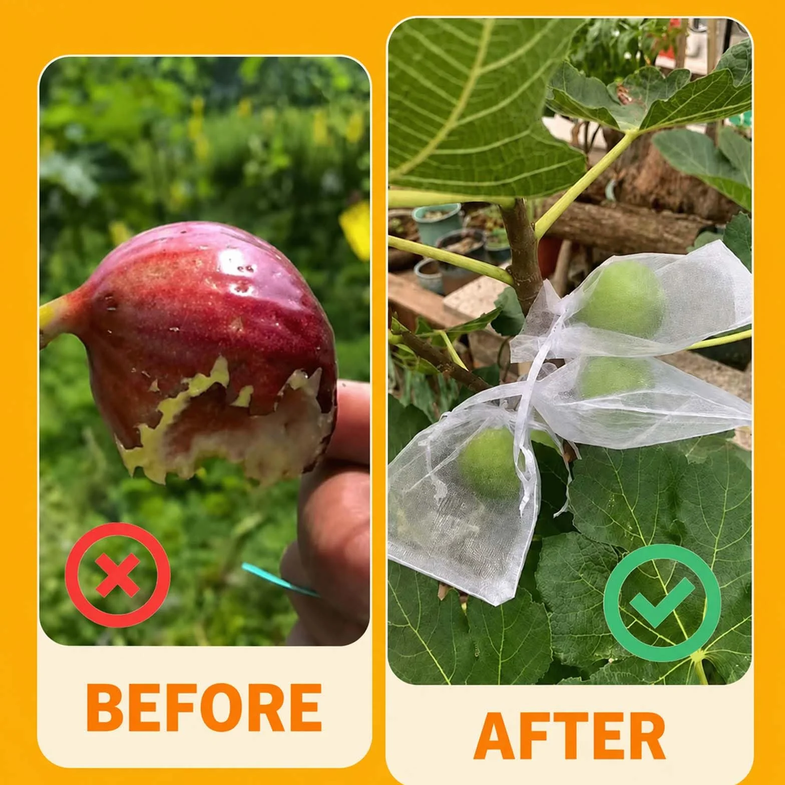 Sachet Protection Raisin 30x40 cm Lot de 100 Sac Filets Jardin
