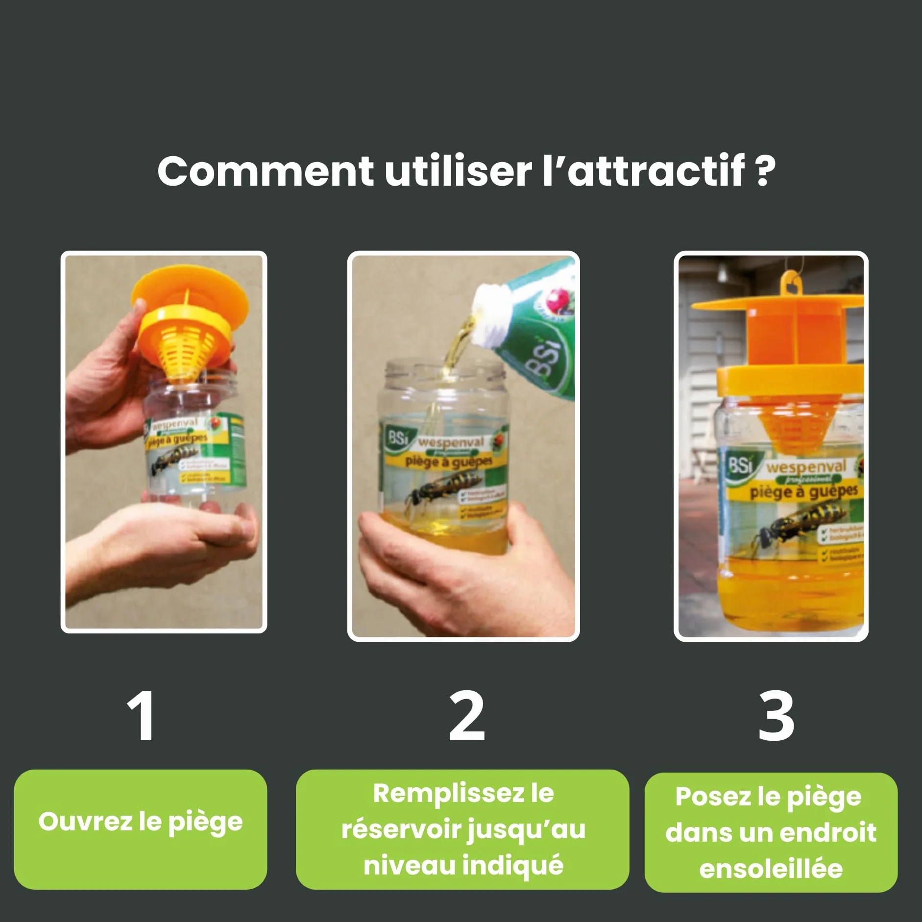 BSI Attractif Puissant Pour Piège À Guêpes Et Frelons Naturel 1L