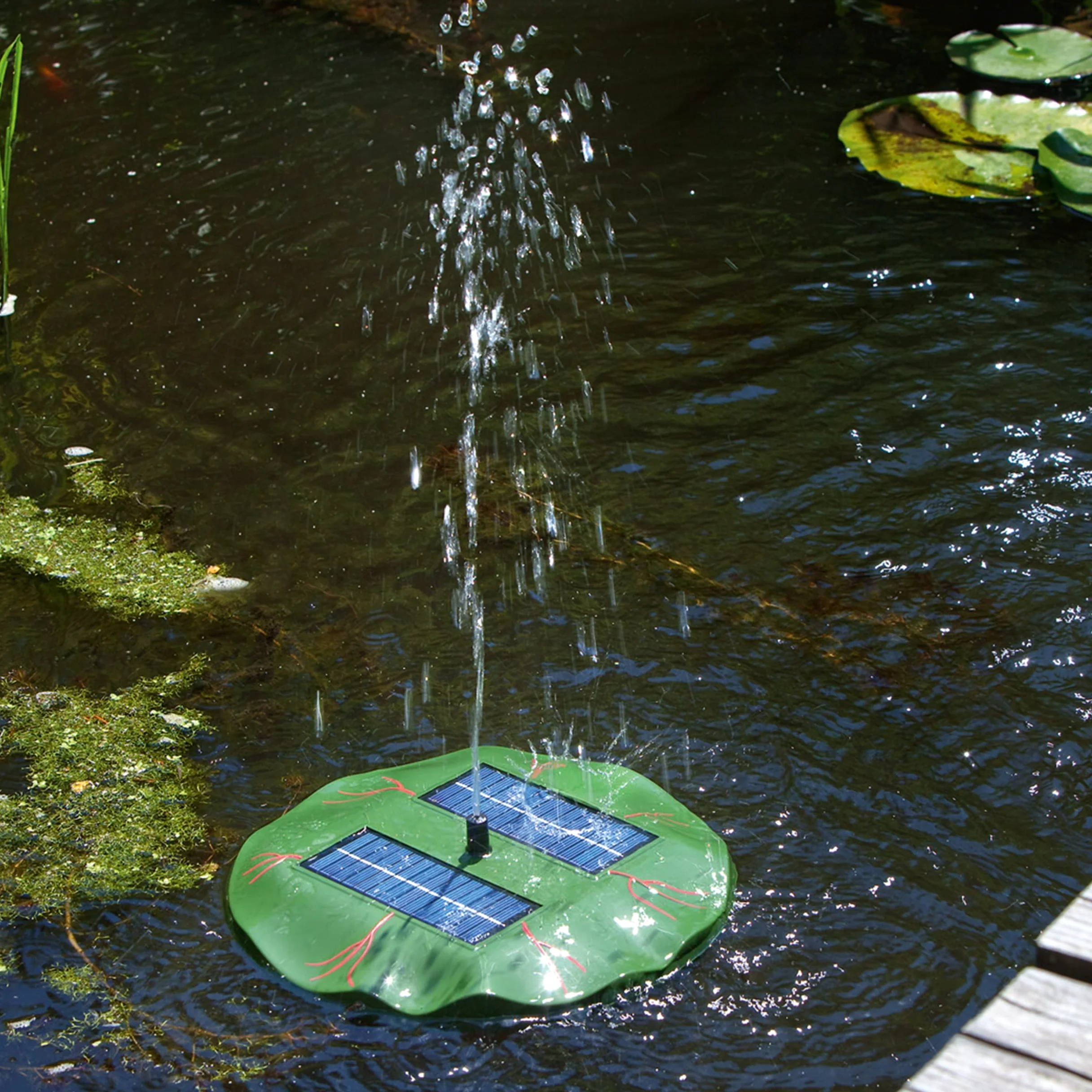 Esotec Pompe de Bassin Flottante nénuphar | Kit Complet avec Pompe d'arrosage, Panneau Solaire, Fontaine Solaire pour Bassin de Jardin, Jeu d'eau, Pompe de Fontaine, Fonctionnement Direct 0,4 m, 160