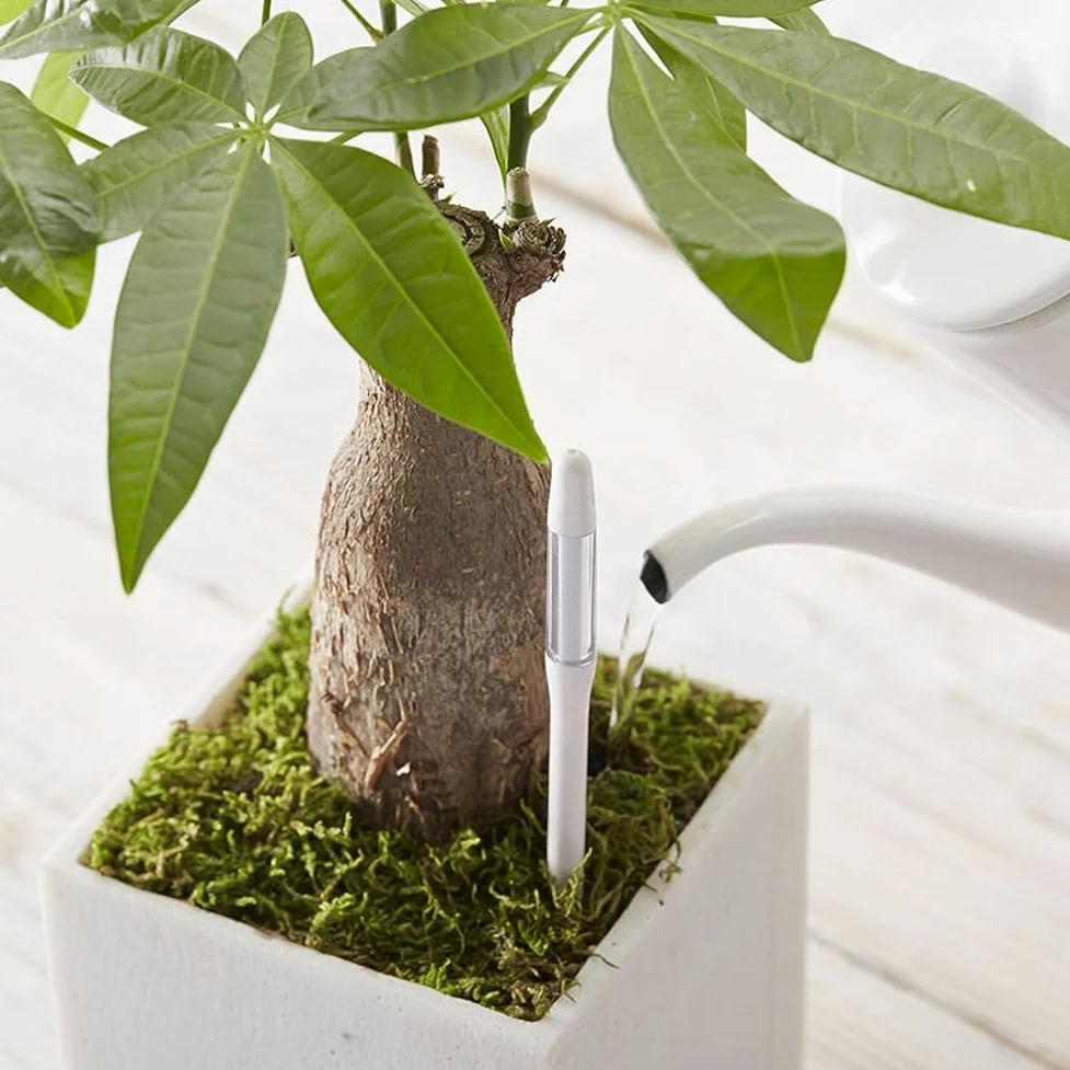 Aquameter Soil Aqua Meter Est un Testeur D'Humidité Du Sol pour Plantes D'Intérieur en Pot.