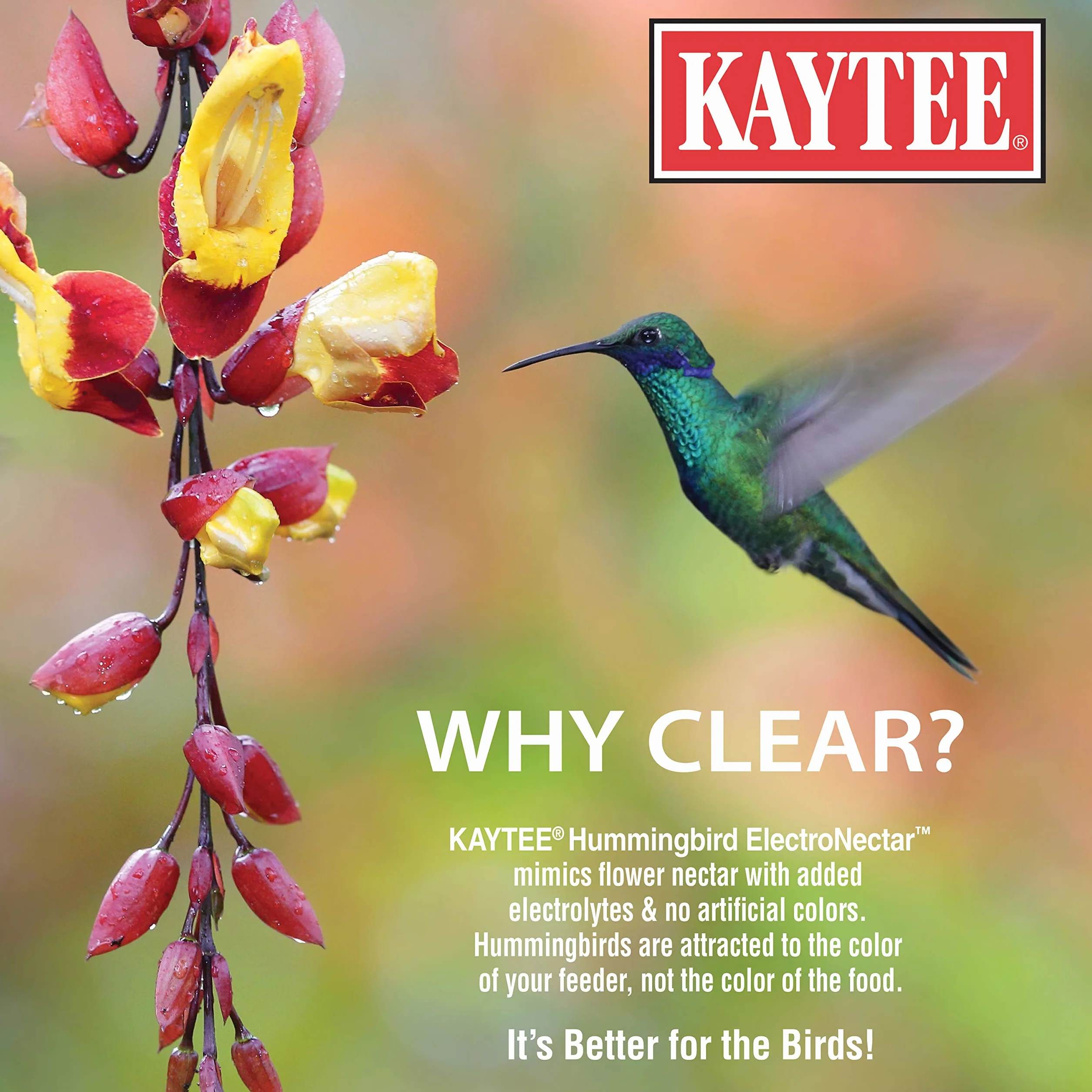 Kaytee Electro Nectar Hummingbird Wild Bird Formula 64oz