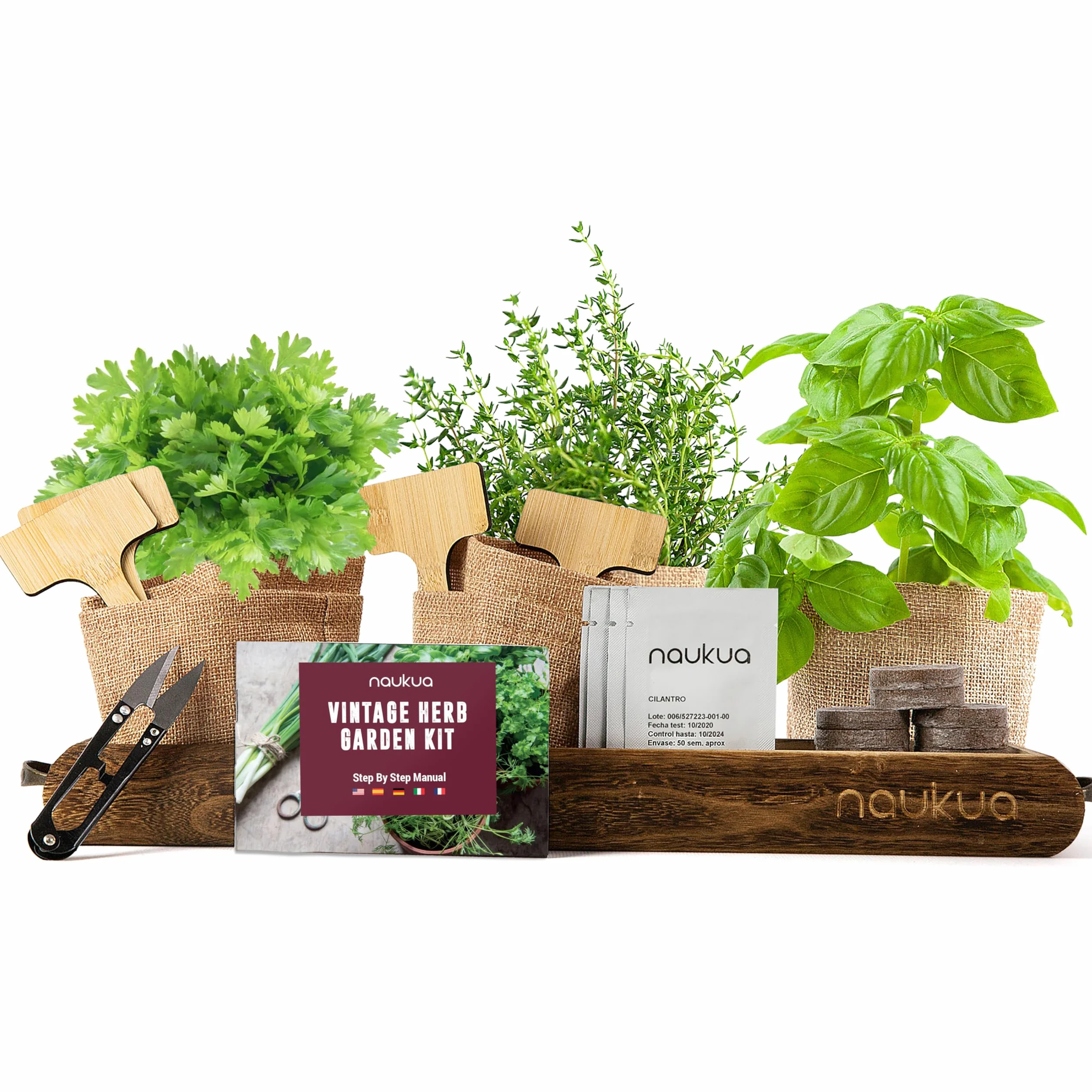 Kit d'Herbes Aromatiques Biologiques Potager d'Intérieur - Thym Basilic Persil Coriandre - Graines Espagne