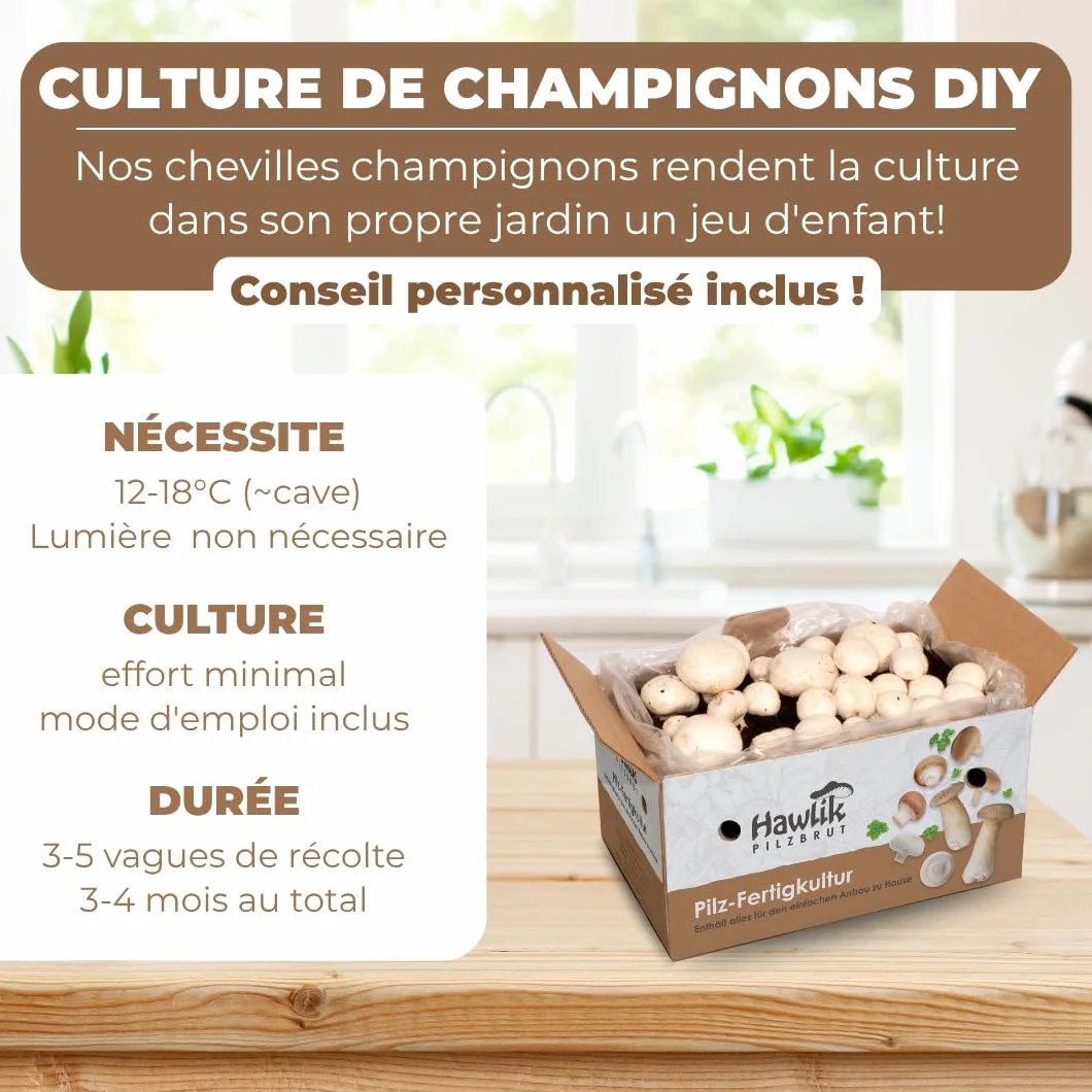 Hawlik Kit Champignons de Paris - Lot de 2 Cultures - Blancs et Bruns