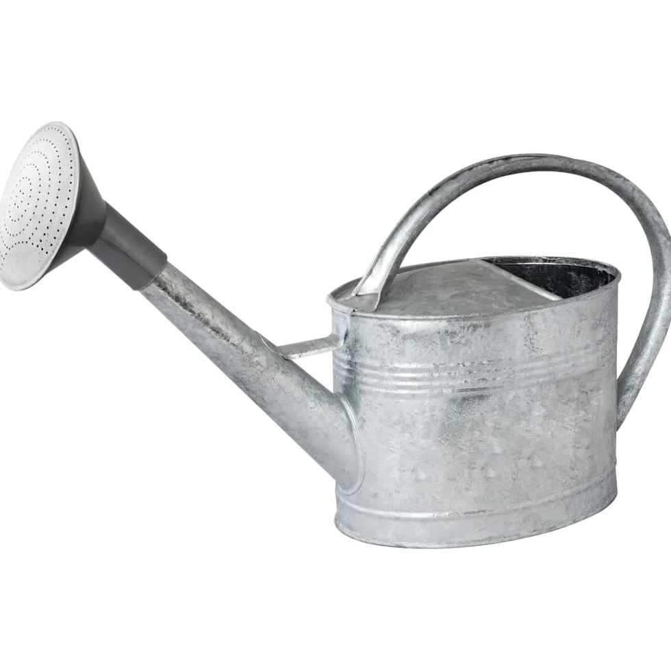 GUILLOUARD Arrosoir Galvanisé 6L avec Pomme, Acier