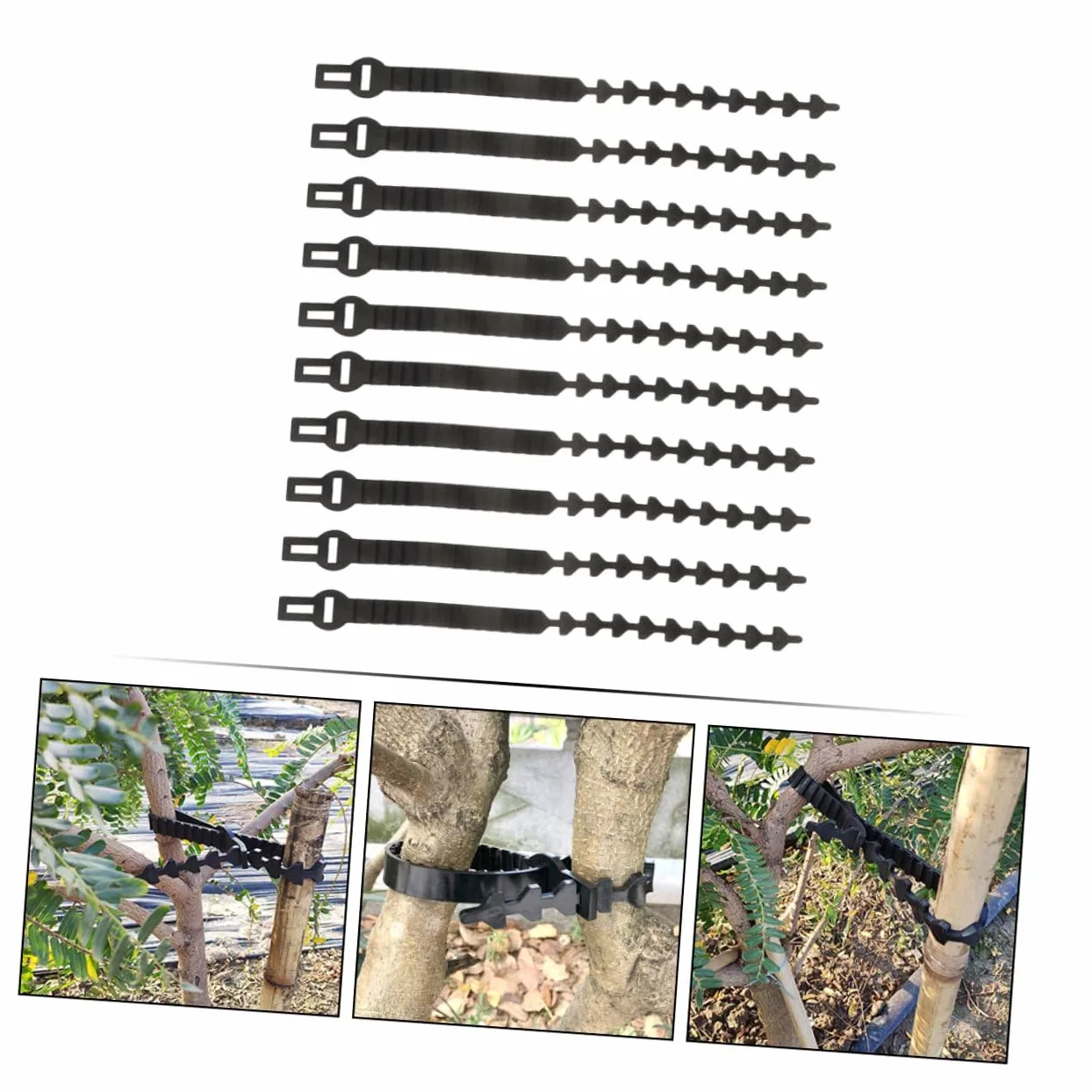 Lot de 10 Sangles en Caoutchouc pour Attache d'arbre Fruitier, Supports Robustes et Ajustables pour Fixation et Formation des Jeunes Plants