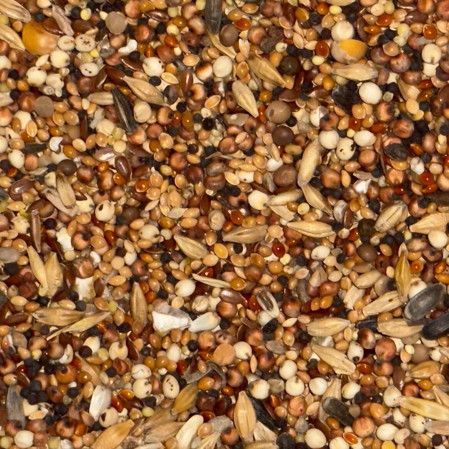 Nourriture pour poulets 25 kg - Mélange de grains volaille - Non OGM 100% naturel