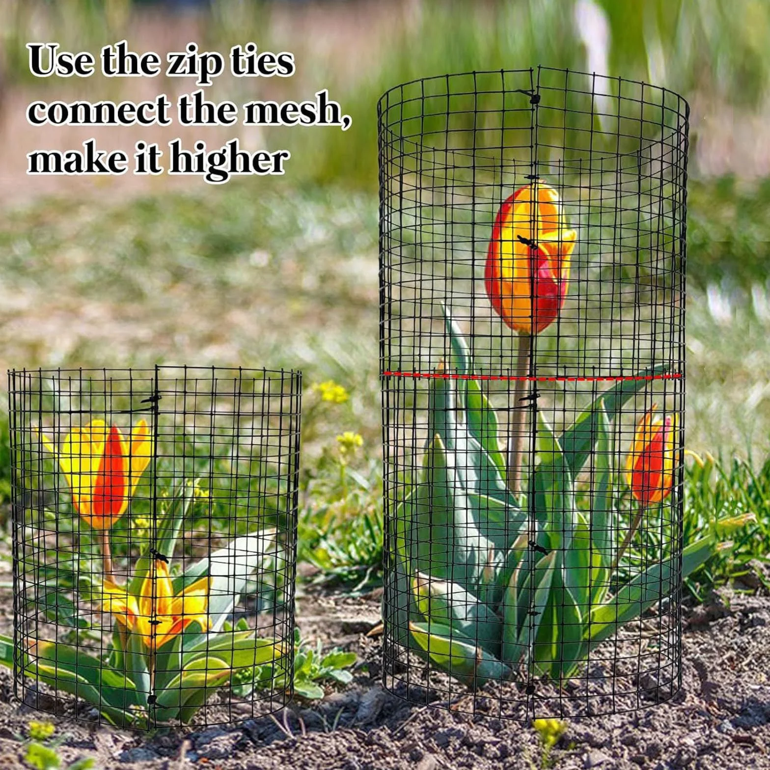 Protecteur de Plantes Inox 30,5 cm Cage de Protection pour Jardin