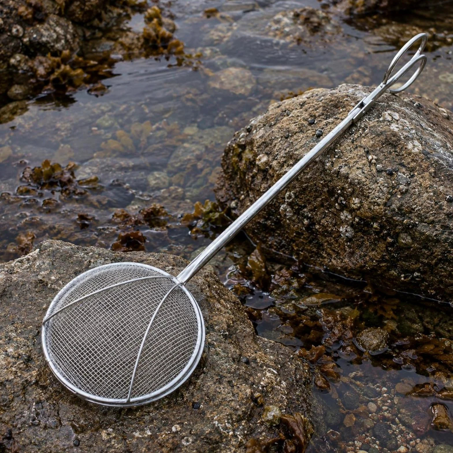 Épuisette de Pêche Extérieure Épuisette Filet Panier Pince INOX Manche Long Tête Circulaire Maille Métallique Capture Ciblée et Transfert Aisé Adaptée