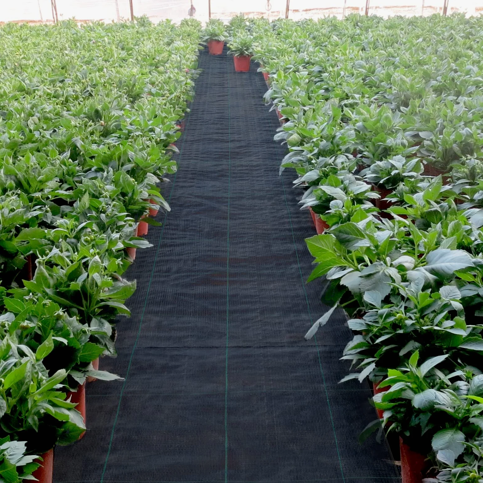 VEVOR Toile Tissée Jardin 91,4 m x 1,83 m Toile Anti-Mauvaises Herbes Tissé Anti-UV pour Les Allées des Terrasses Empêcher Les Mauvaises Herbes et Idéal Également pour Les Allées de Potagers