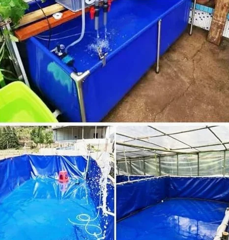 Bassin à poissons pliable étanche avec valve de vidange, toile en PVC durable, piscine aquatique pour l'extérieur et résistance à la sécheresse