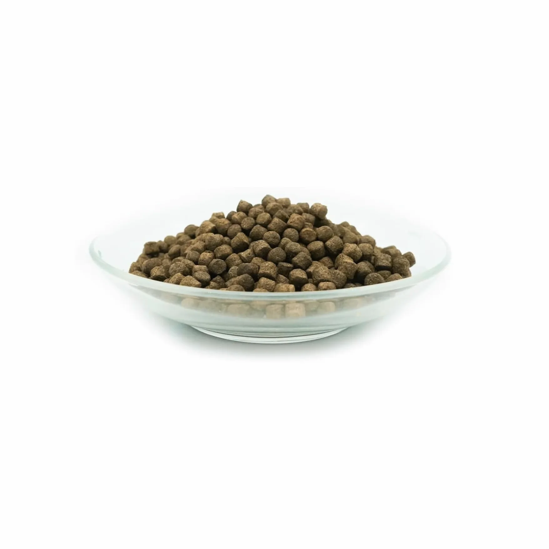 Spirulina Plus Nourriture pour Poissons caroténoïdes Riches en caroténoïdes 10 kg/6 mm – avec capsanthine et astaxanthine et forplus (algues Riches en oméga-3)