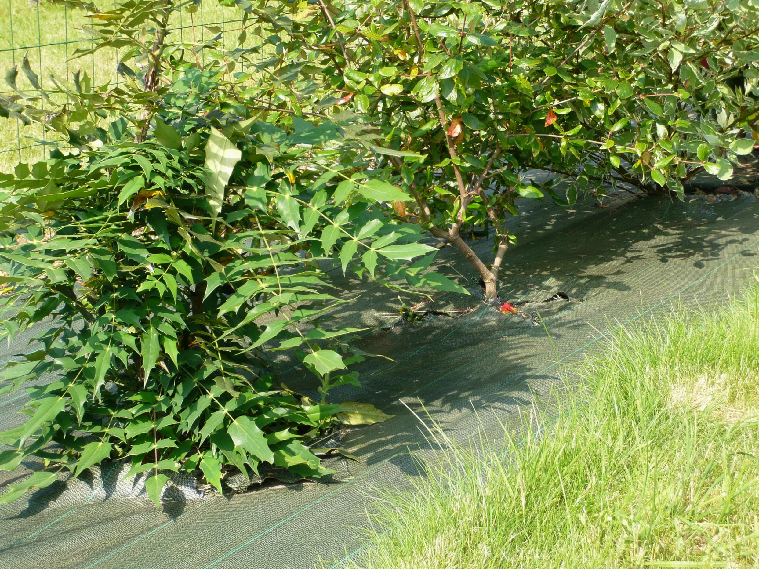VILMORIN - Toile de Paillage Tissée 1,05 m x 20 m - En Polypropylène 90 g/m² - Favorise la Croissance des Fleurs, Haies, Arbustes - Stoppe les Mauvaises Herbes - Limite l'Arrosage - Protège le Sol