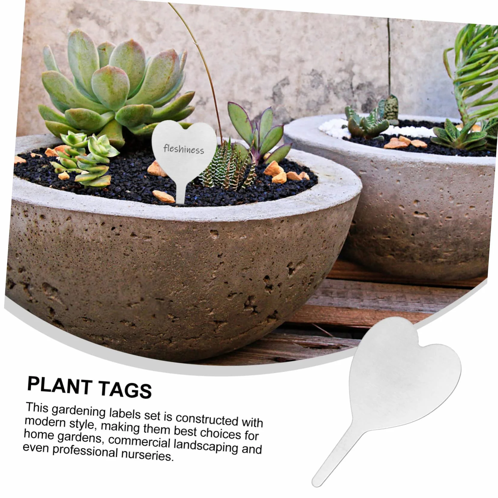 ibasenice 2 Ensembles Étiquettes Métalliques Végétales Balises De Pieu Planche Étiquettes D'identification De Plantes Étiquette De Plante De Tableau Silver Acier Inoxydable 50 Pièces * 2