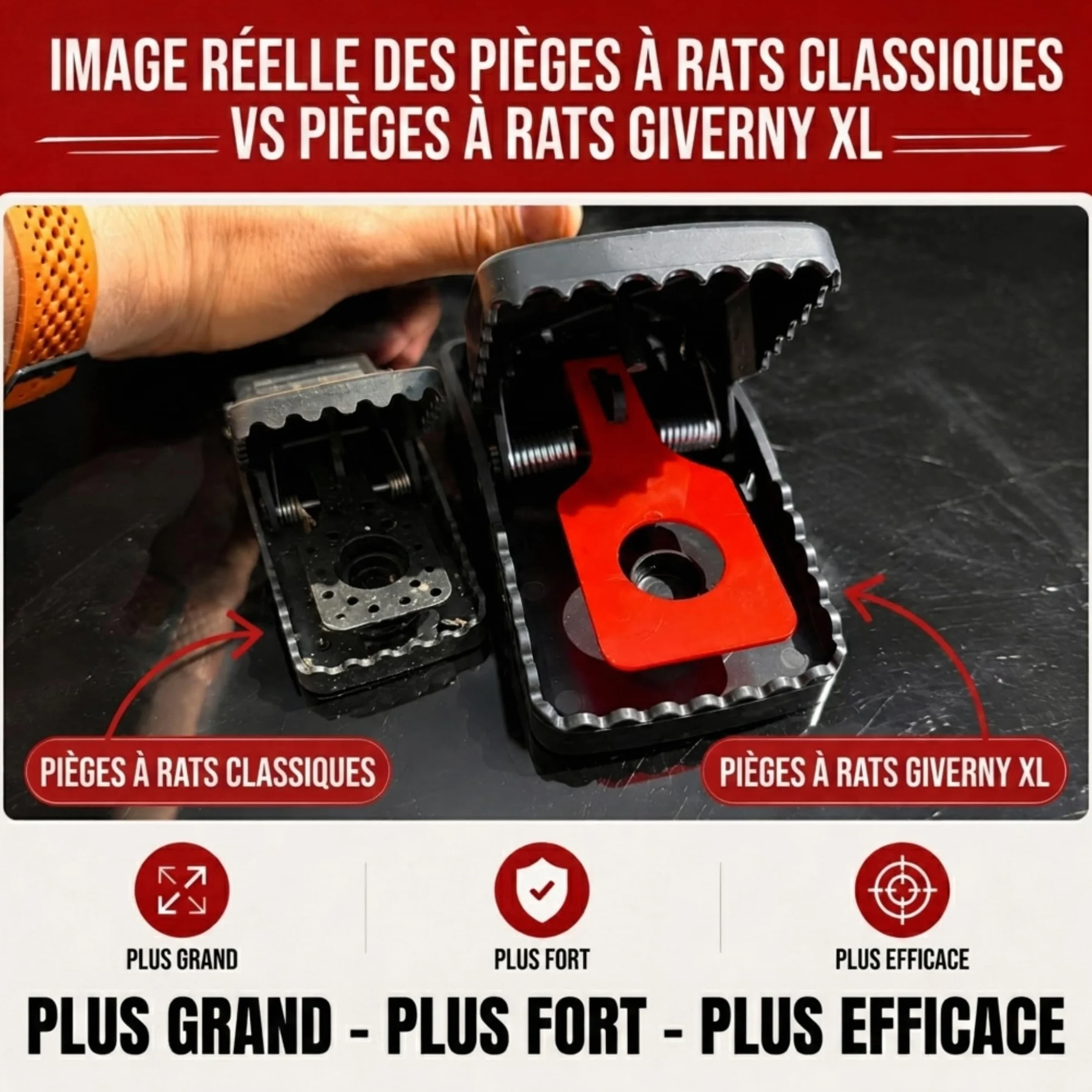 GIVERNY Piège à Rats XXL Lot de 6 Tapette Ultra-Puissante Réutilisable Anti Rongeurs Non Toxique Intérieur Extérieur