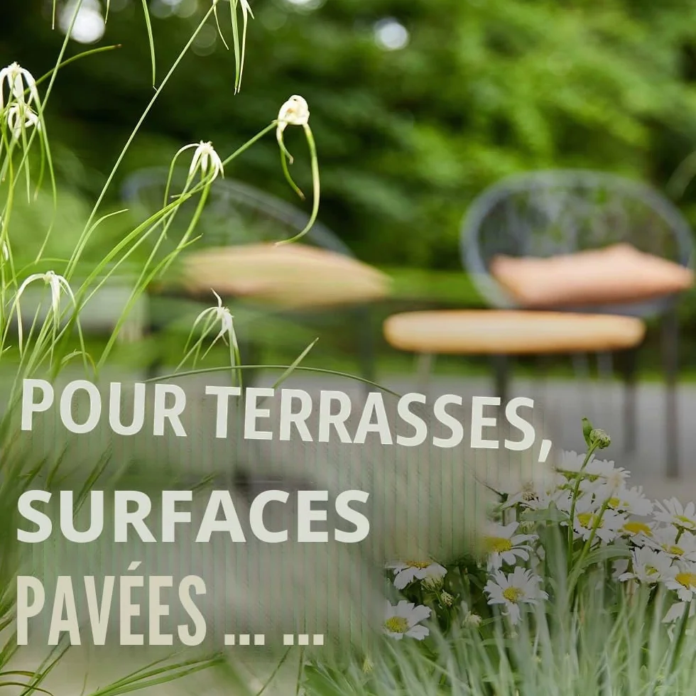 COMPO Vinaigre bio 3 l pour 500 m² éliminer mauvaises herbes