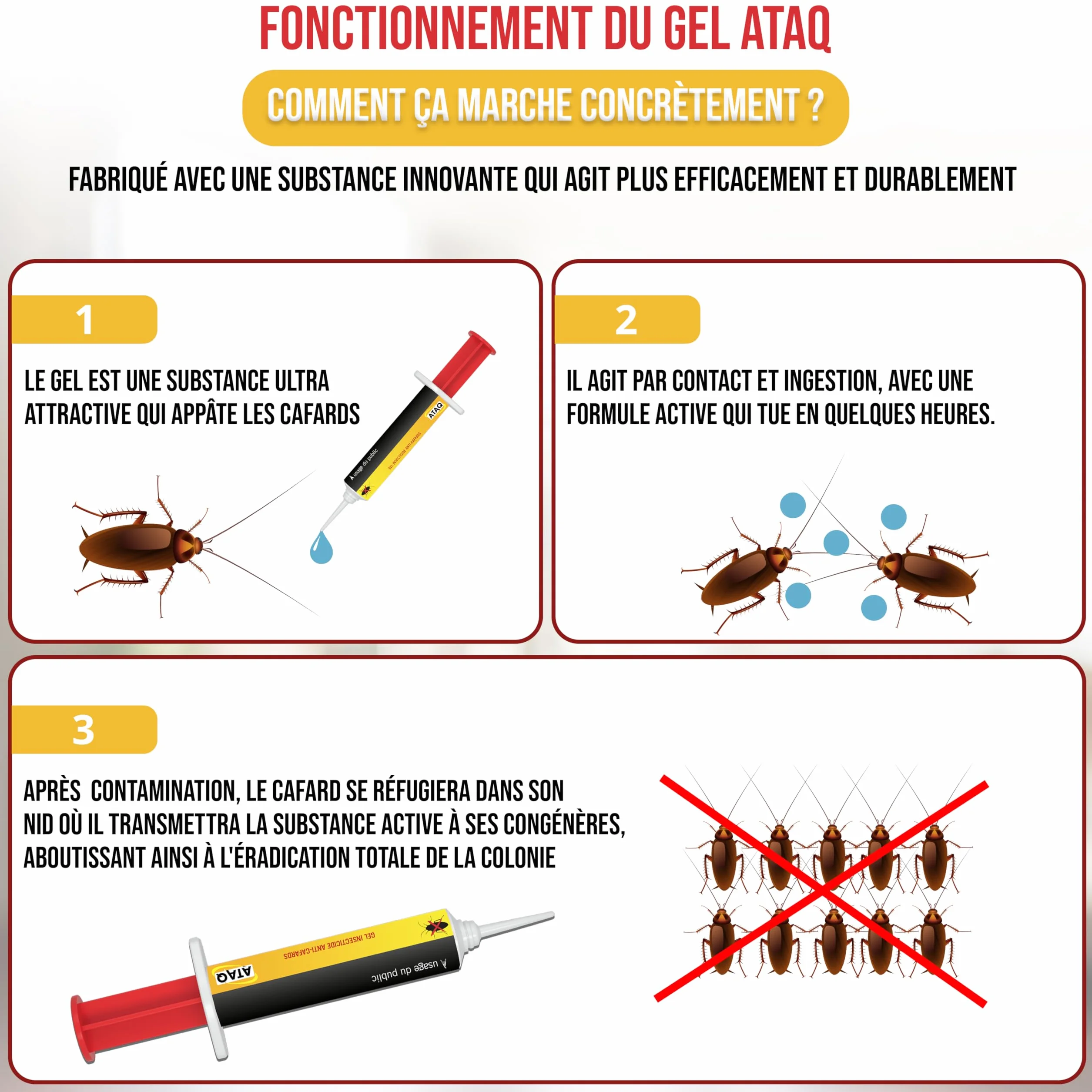 Pack de 2 Gel Appât Anti Cafards 10g Professionnelle Insecticide Élimine Rapidement