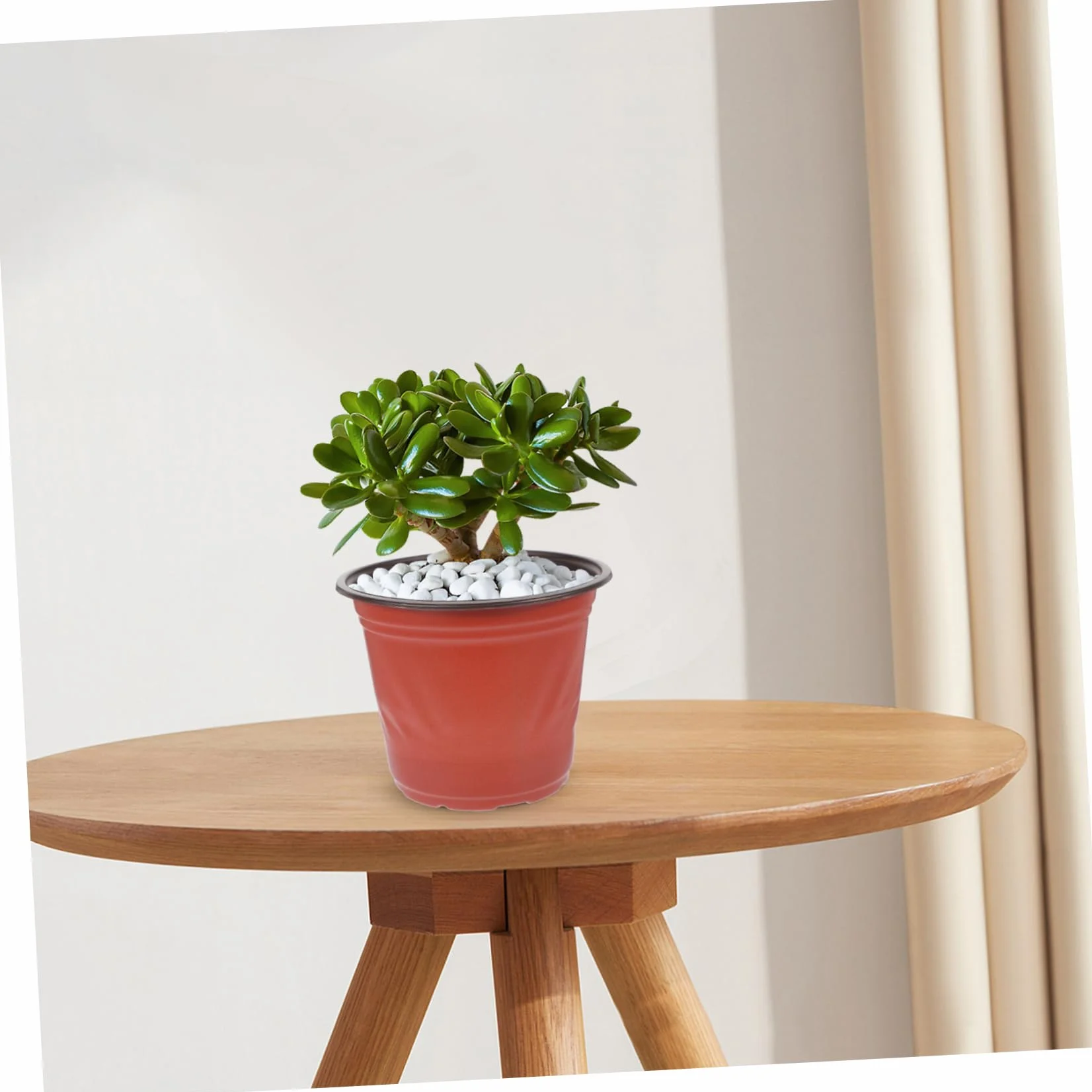 Pots de Fleurs en PP Bicolore 4.65 Pouces Lot de 50 pour Jardinage et Plantes Succulentes Réutilisables