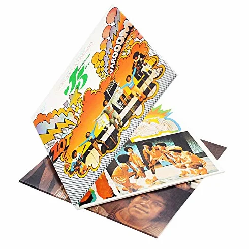 Manchons en plastique refermables 4,7 Mil pour mini LP SHM-CD lot de 50
