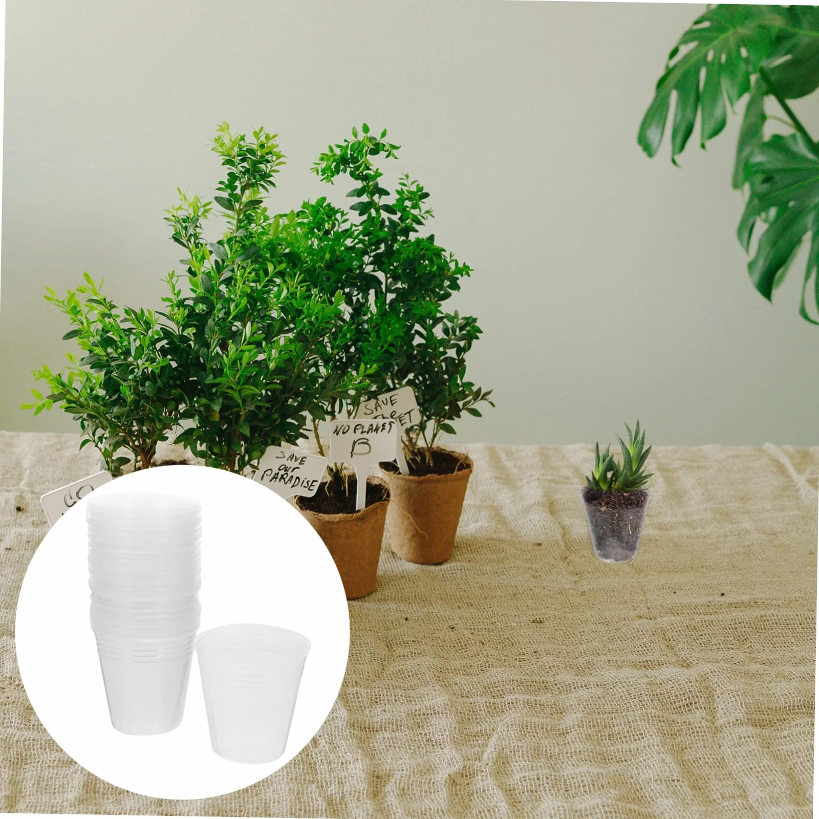 POPETPOP 200 pièces Pots De Culture avec Drainage pour Orchidées