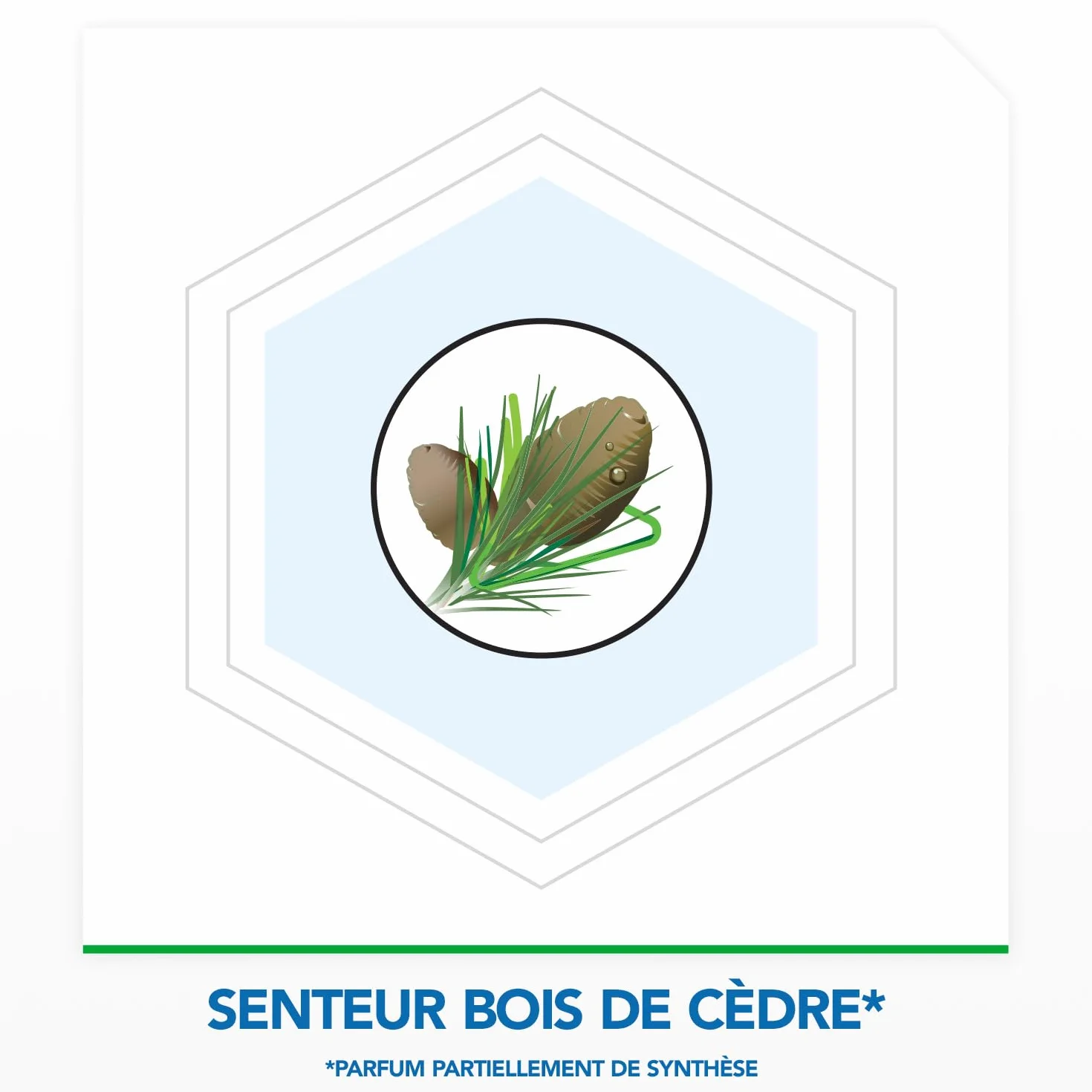 Raid Max Gels Anti-Mites Parfum Bois De Cèdre Protège Vêtements 3 Mois Woolmark 2 Gels
