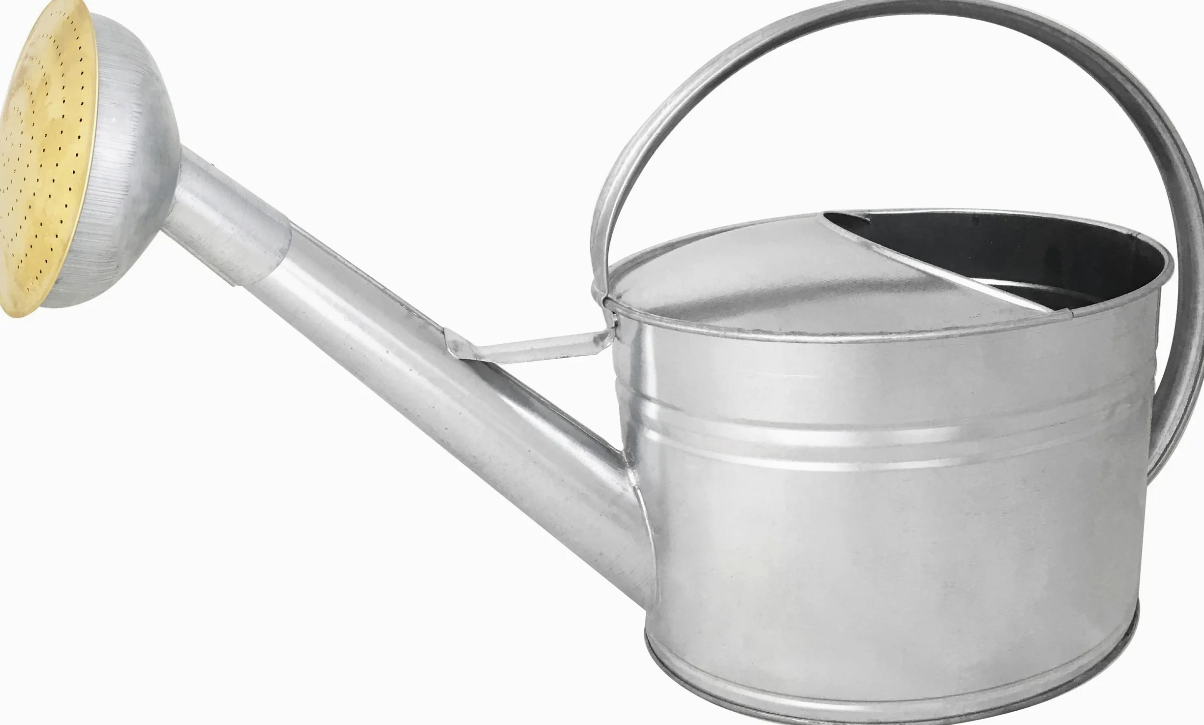 Arrosoir 6L Acier Galvanisé – Pomme Métal Grille Laiton, Arrosage Précis – Jardin, Potager, Grande Surface, Anse Ergonomique - 020540